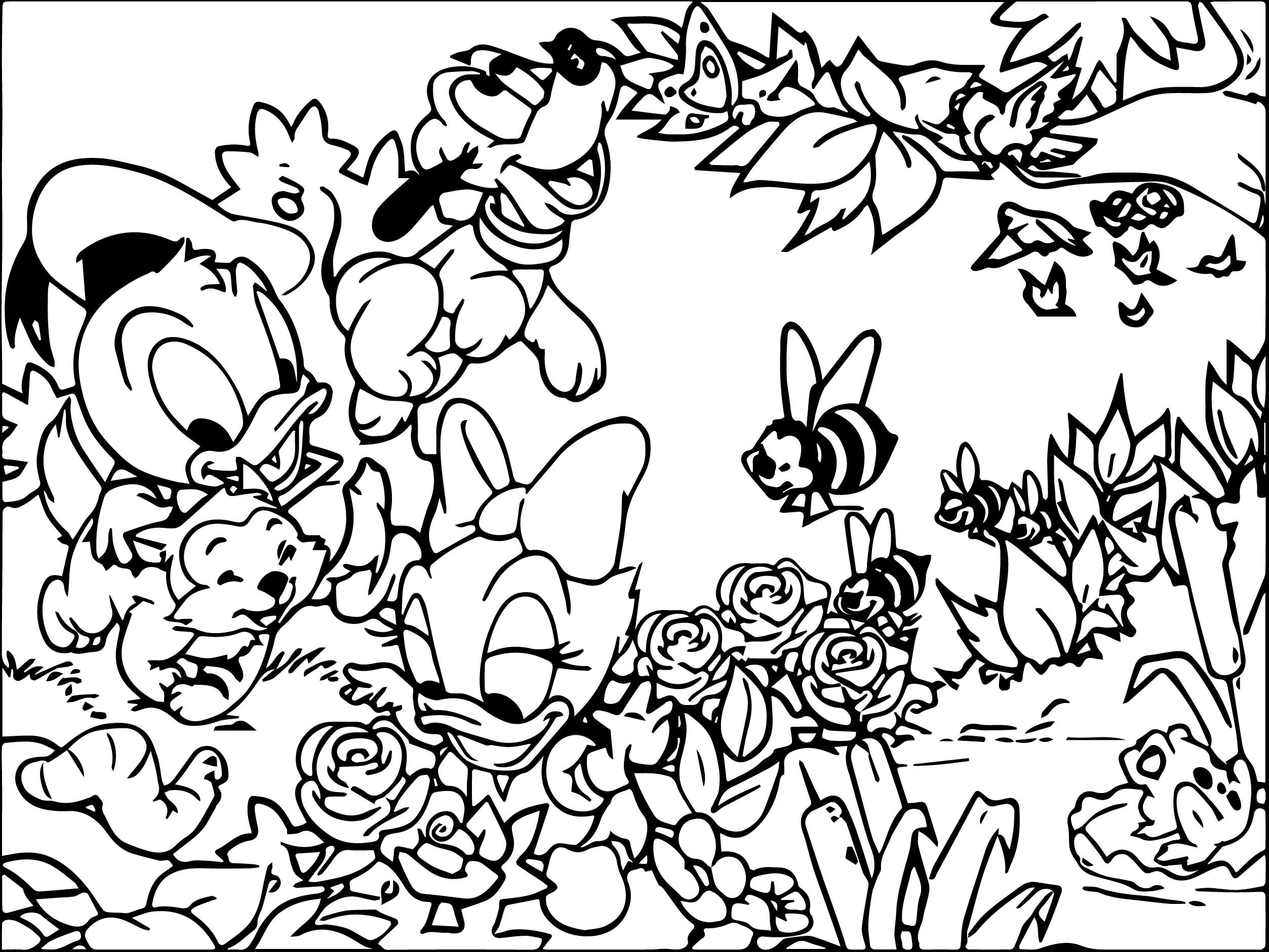 2506x1881 Baby Donald And Baby Daisy Wallpaper Donald Duck Coloring Page