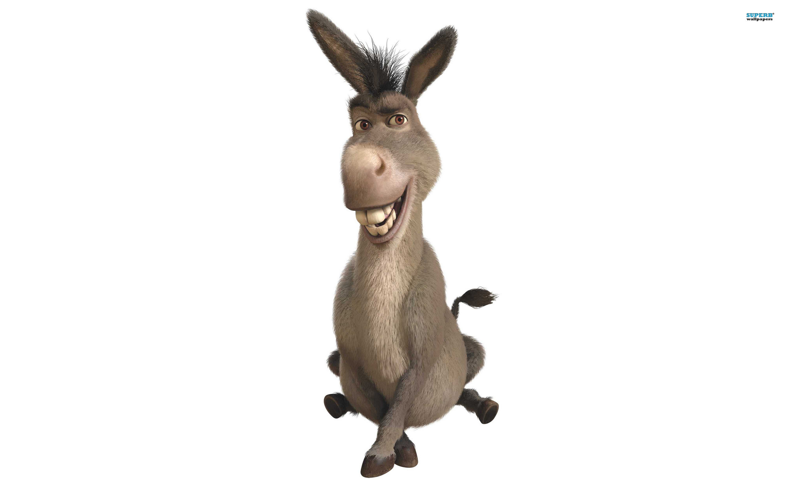 2560x1600 Donkey Cartoon