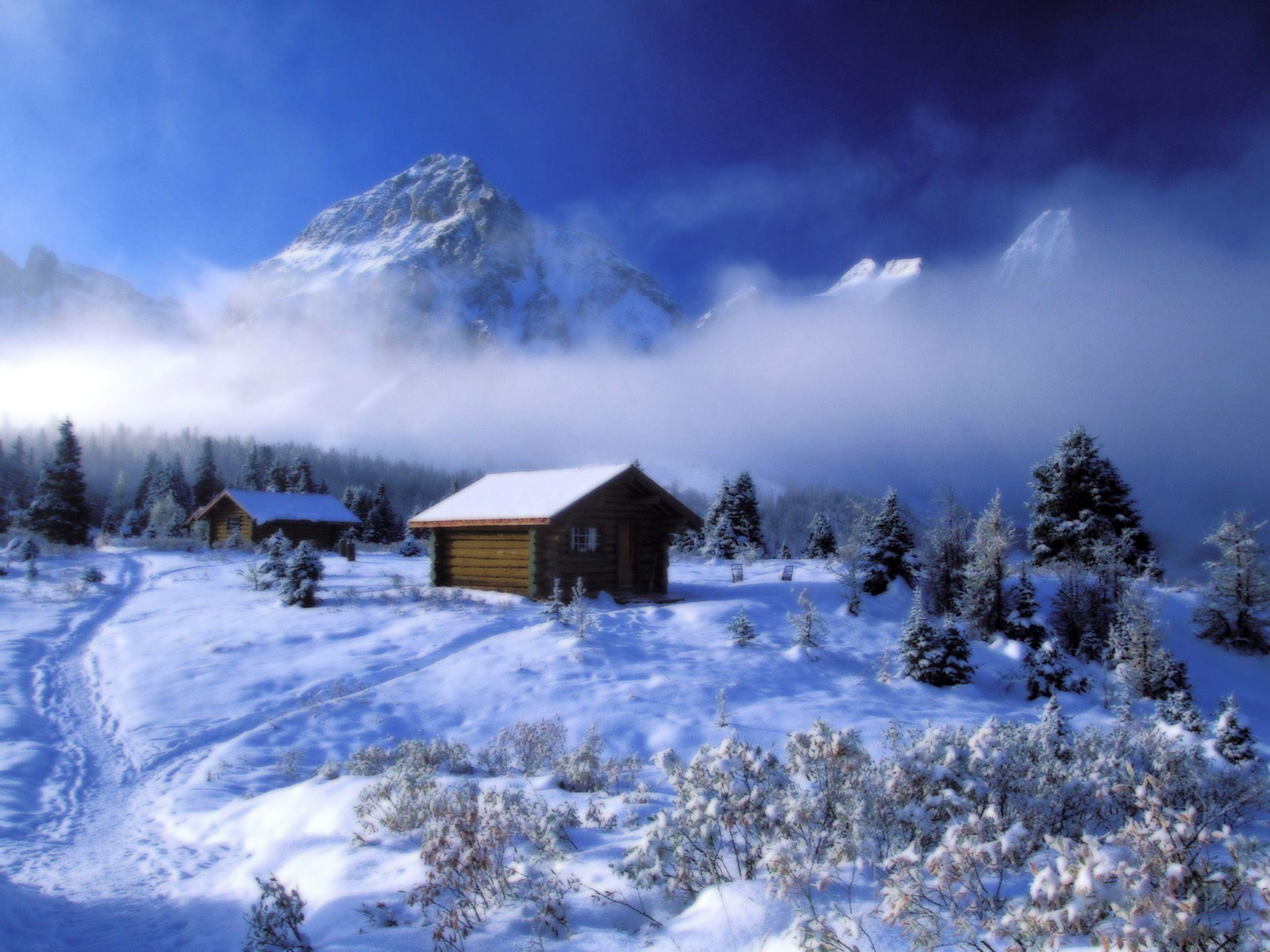 2560x1920  Winter Scenes Wallpaper Desktop High Resolution For Laptop Nature Snow  Scene Widescreen
