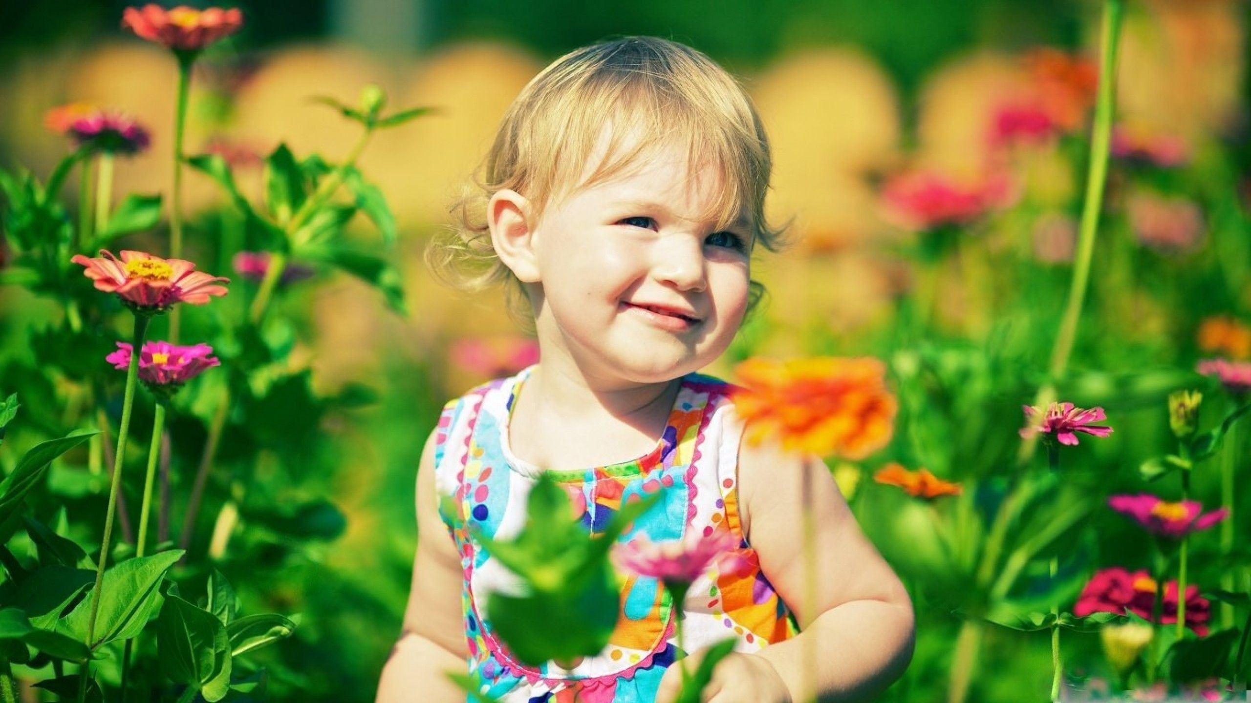 2560x1440 cute baby girl in zinnia flowers hd wallpaper