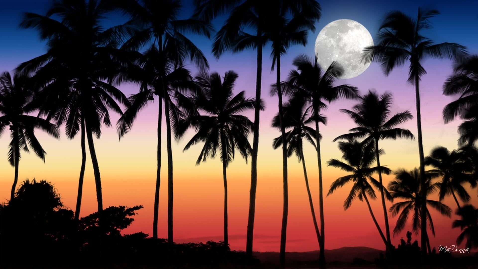 1920x1080 Full Moon Tropical Sunset