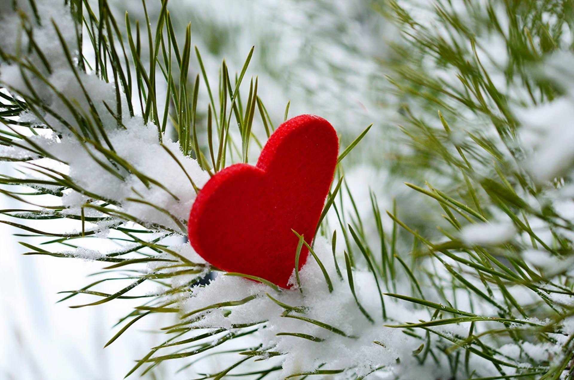 1920x1271 winter love heart valentine day wallpaper