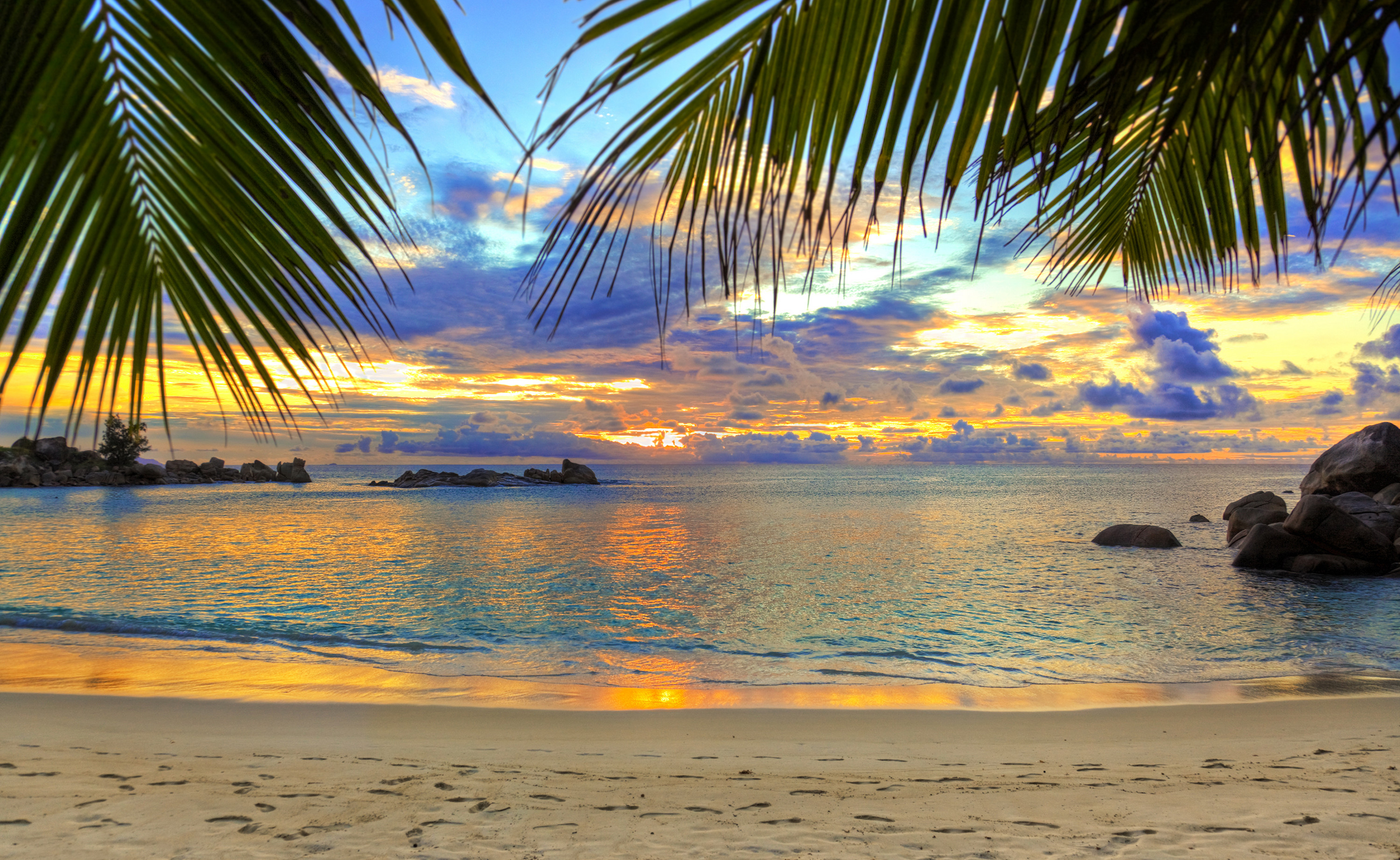 3000x1843 Earth - Beach Sea Palm Tree Sand Sunset Nature Sky Tropical Ocean Horizon  Wallpaper