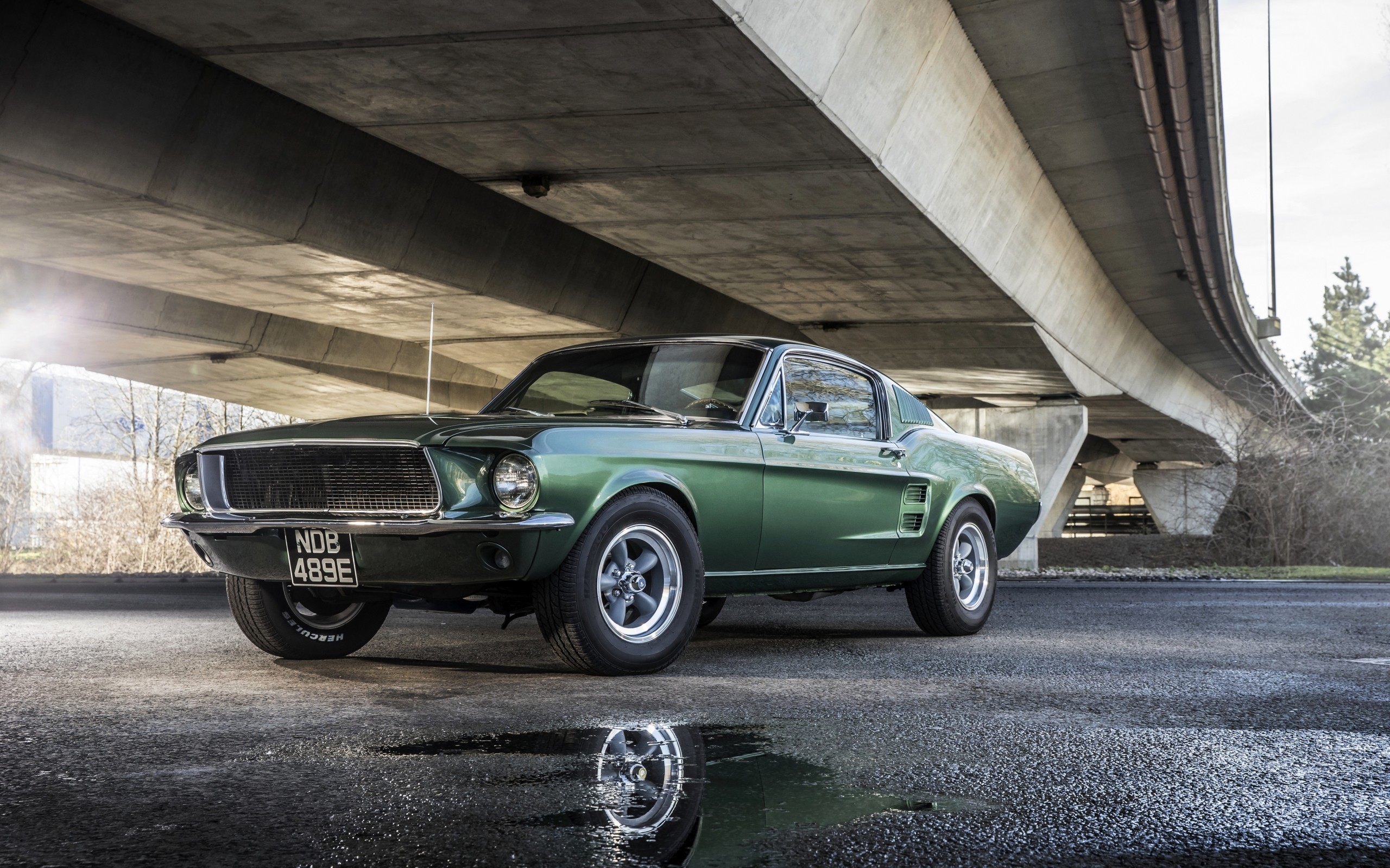 2560x1600 HD Wallpaper Ford Mustang Bullitt, Green, Muscle Car