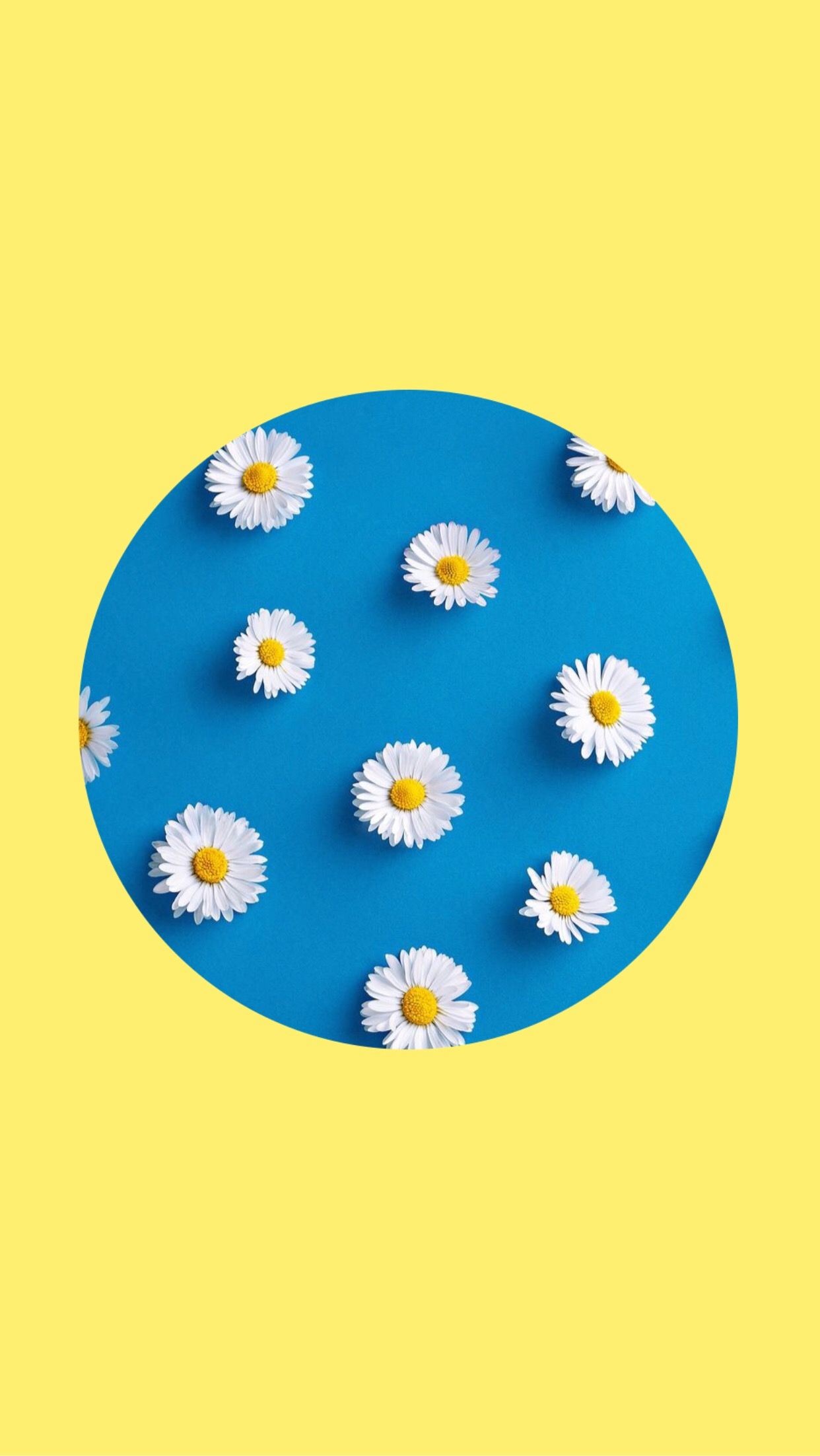 1242x2204 Yellow Lockscreen / Wallpaper / Background Blue Flowers White Circle  Aesthetic