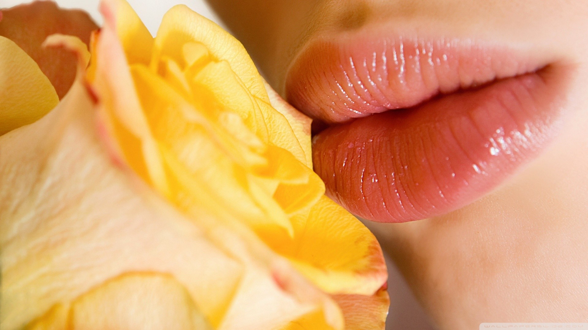 1920x1080 Explore Kissing Lips, Rose Petals, and more!