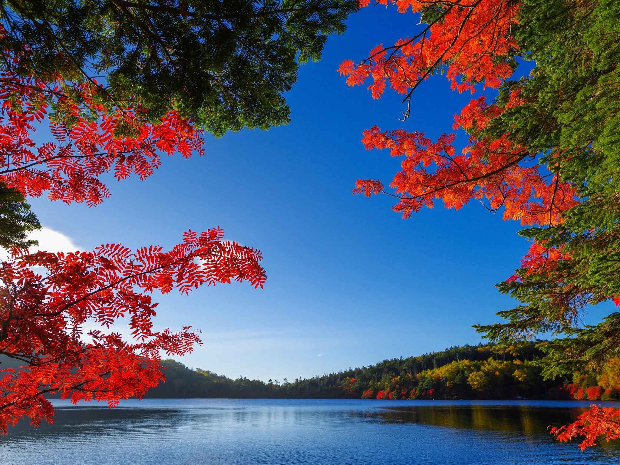 2048x1536 Lakes Fall Lake Autumn Best Nature Wallpapers With Quotes