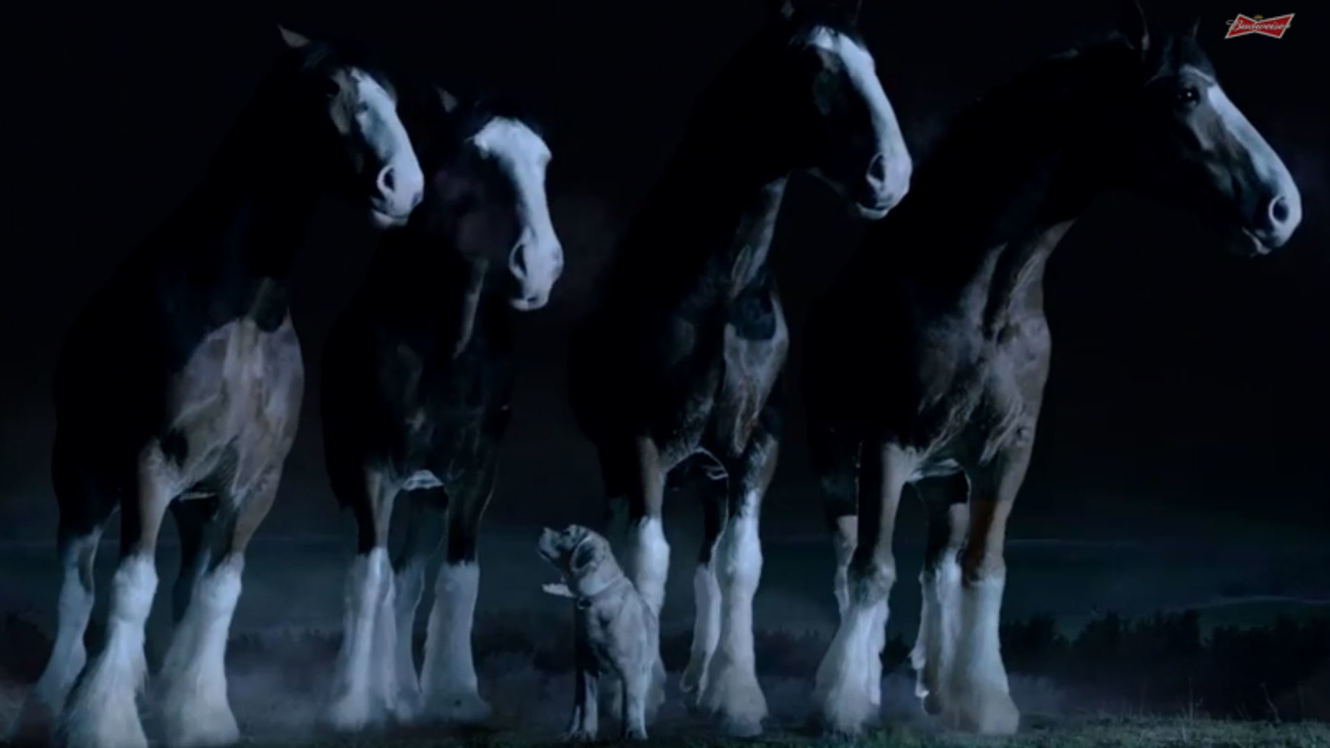1920x1080 Budweiser keeps puppy and Clydesdales in Super Bowl ad | NFL | Sporting News