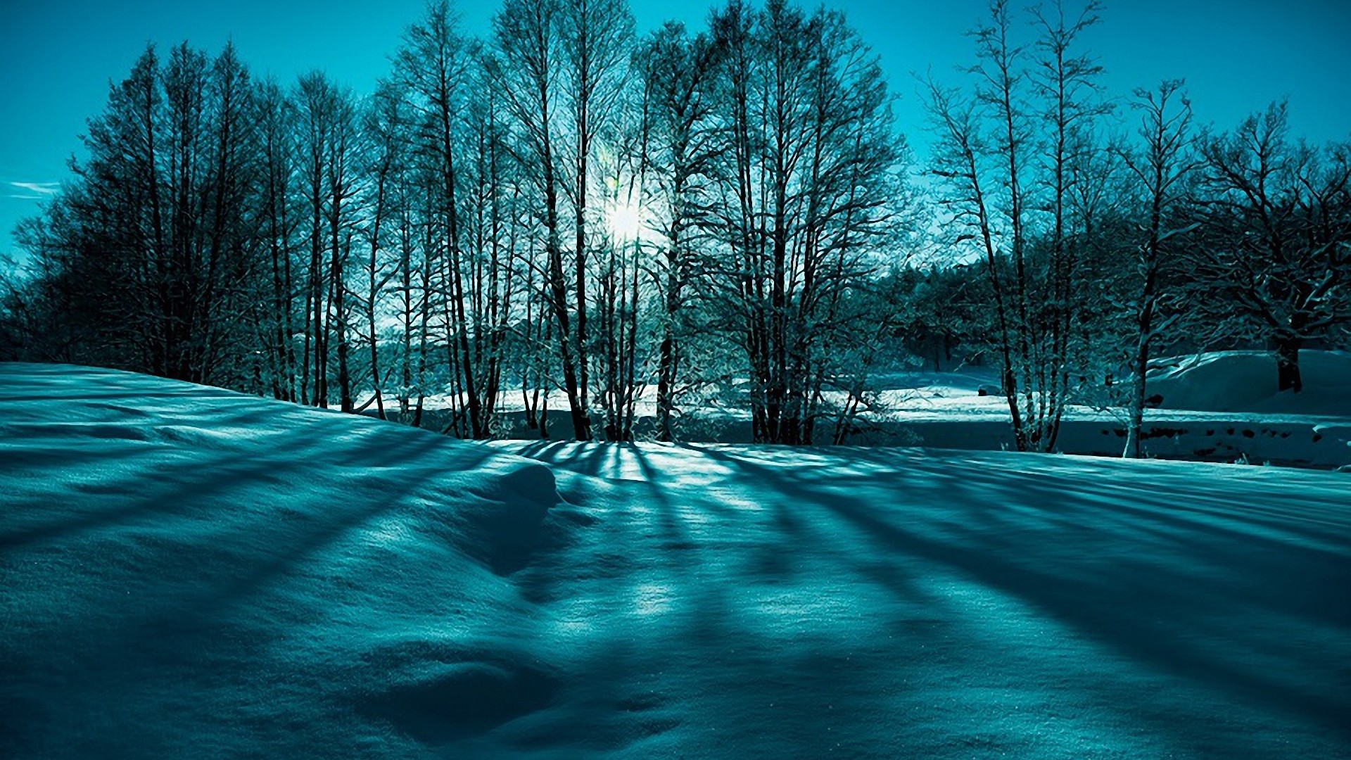 1920x1080 Fantastic Winter Scenery