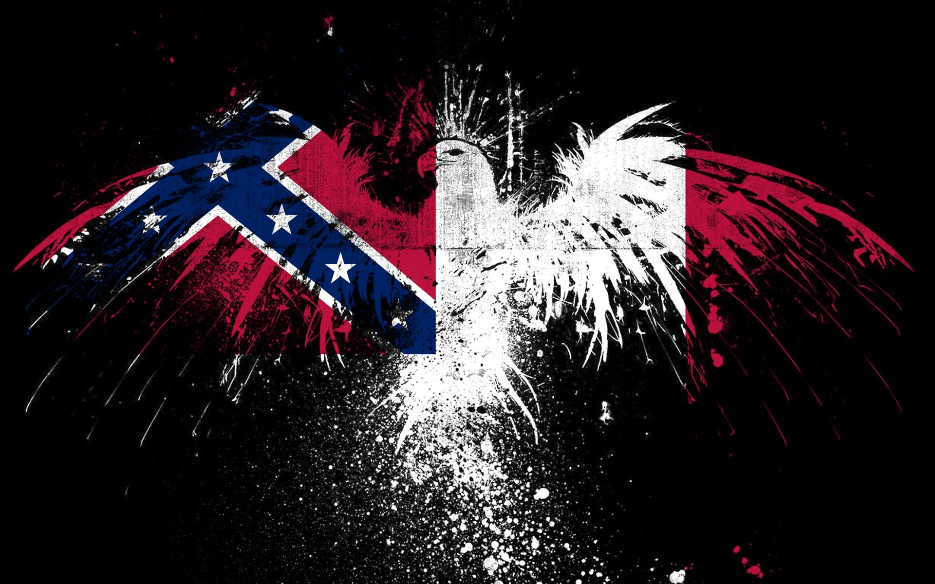 1920x1200 confederate battle flag ftfy 3rd national of HD Wallpaper 