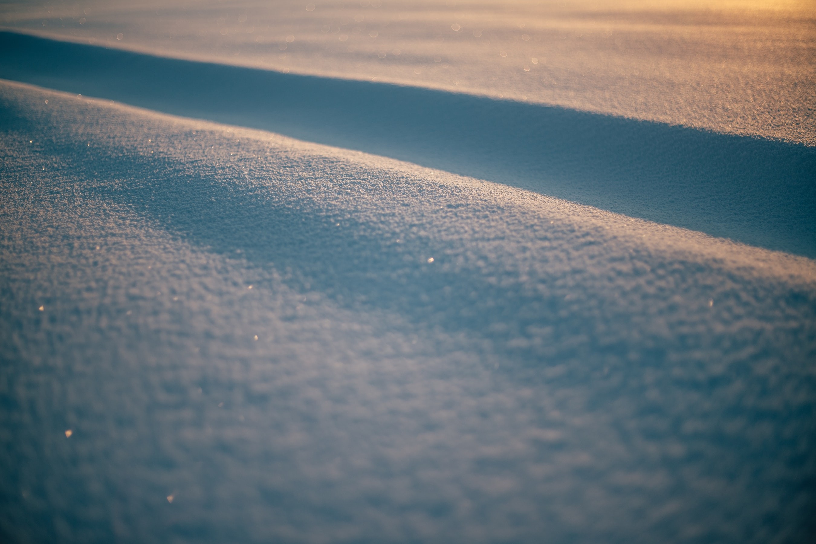 Wallpapers from deborah.west