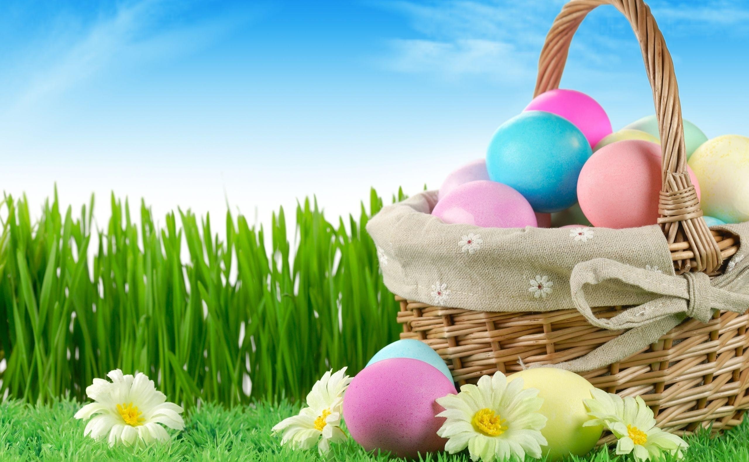 2560x1580 Easter Chocolate Egg Wallpaper Easter Holidays (78 Wallpapers)