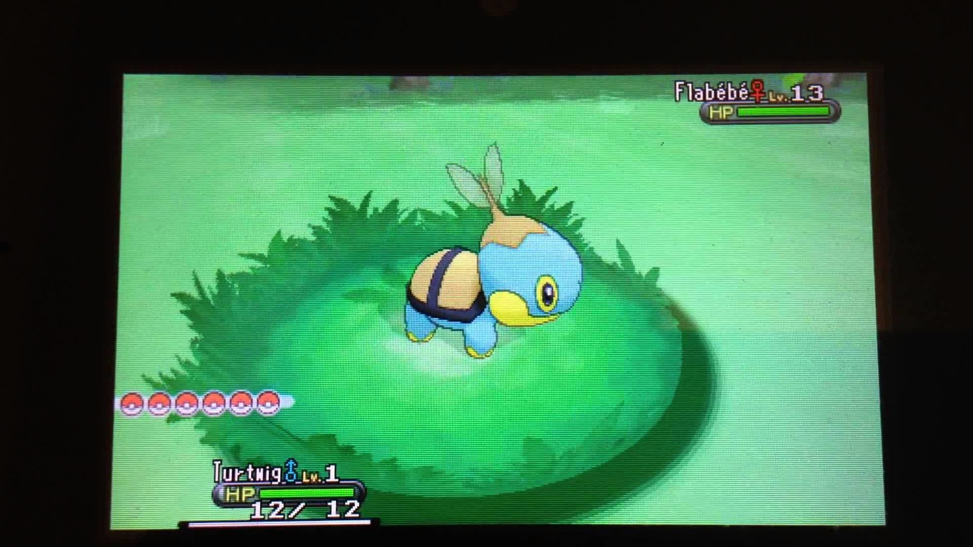 1920x1080 (MM) Shiny Turtwig Hatched Only a Day Hunt In Pokemon Y Version! - YouTube