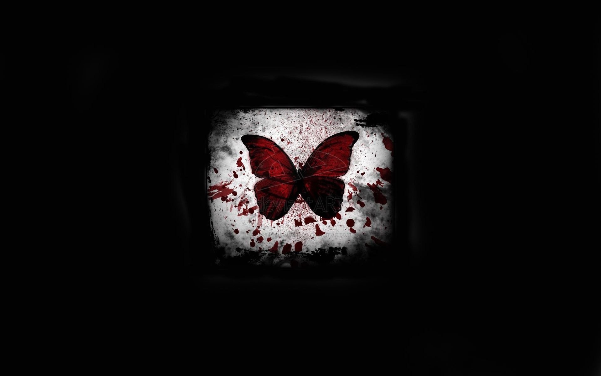 1920x1200 black background butterfly blood spot light