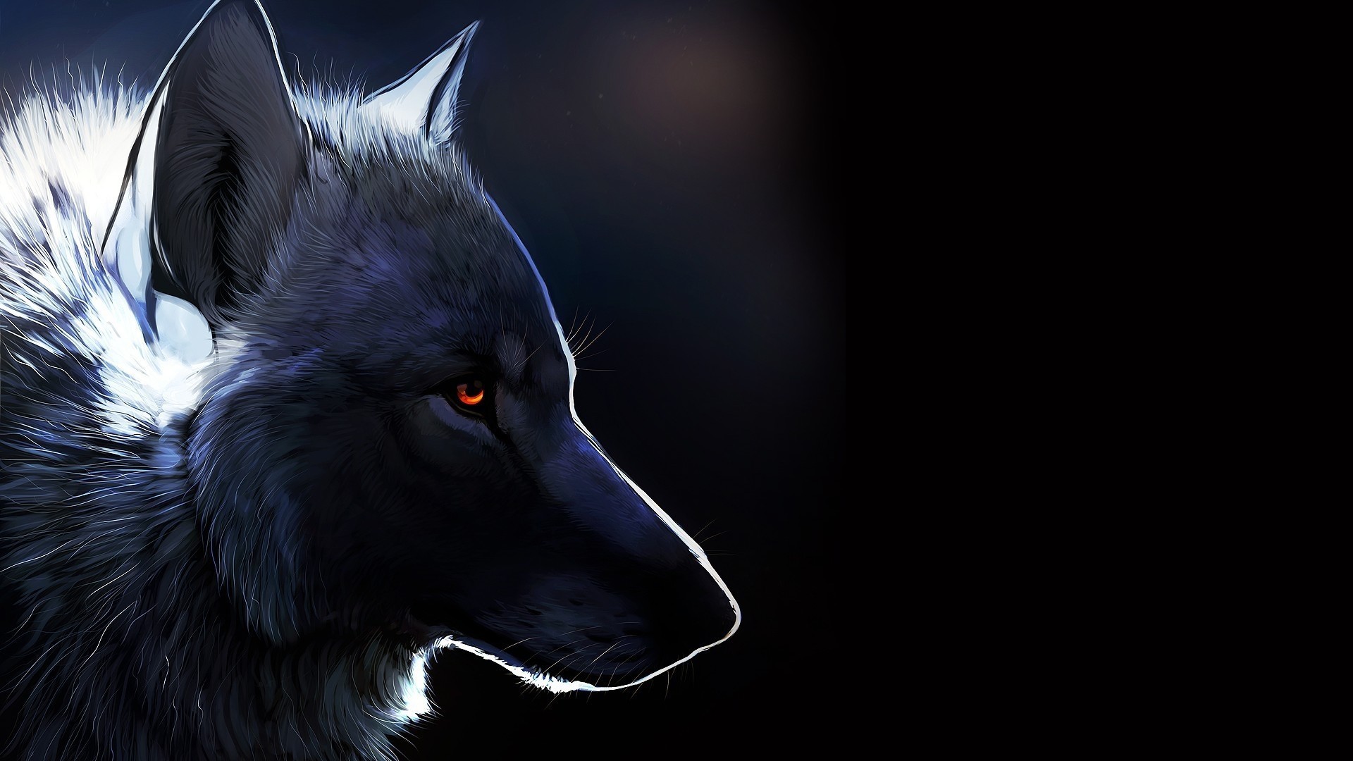 1920x1080 Black Wolf Picture As Wallpaper HD