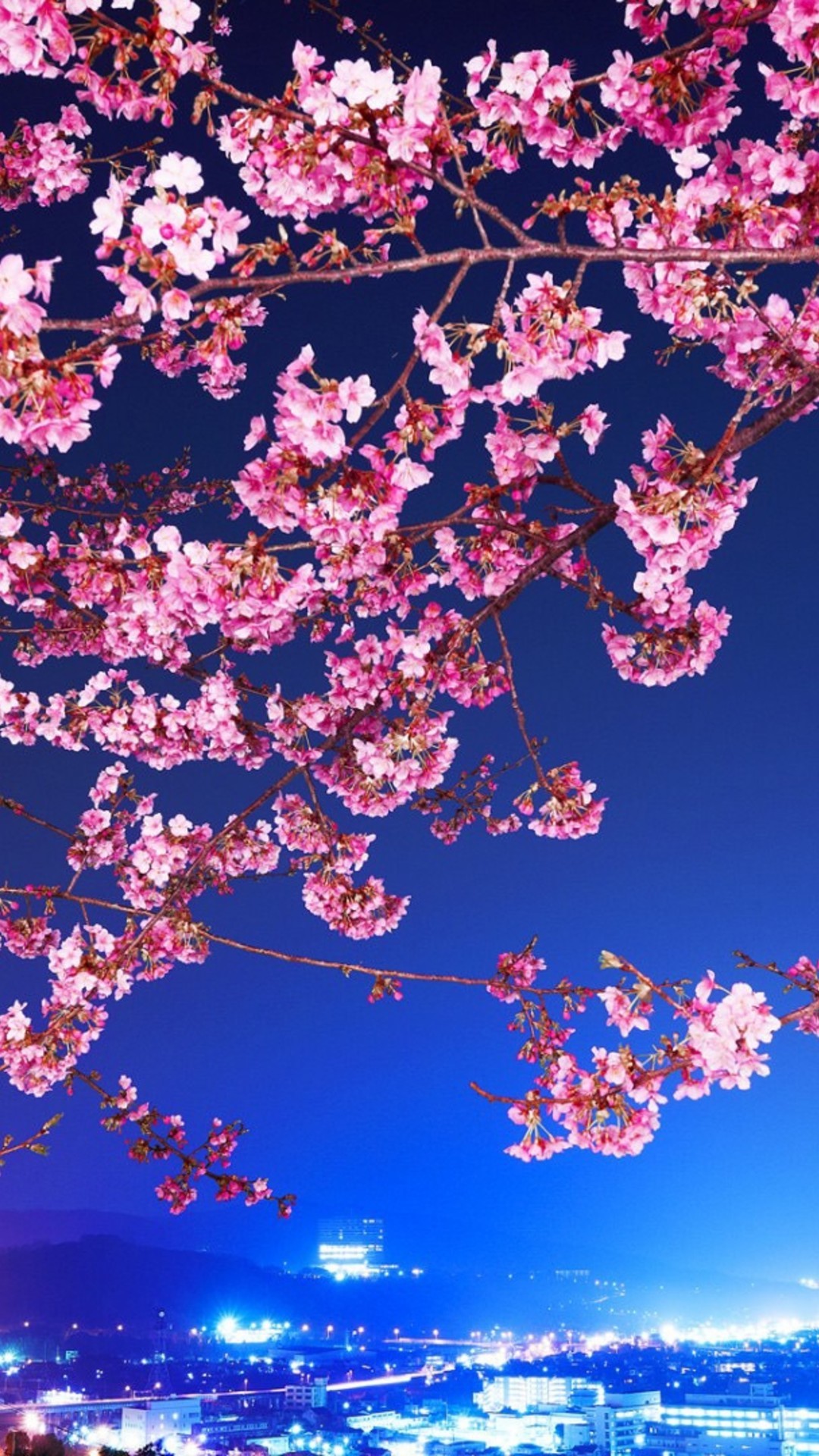 1080x1920 cherry blossom iphone full hd wallpaper