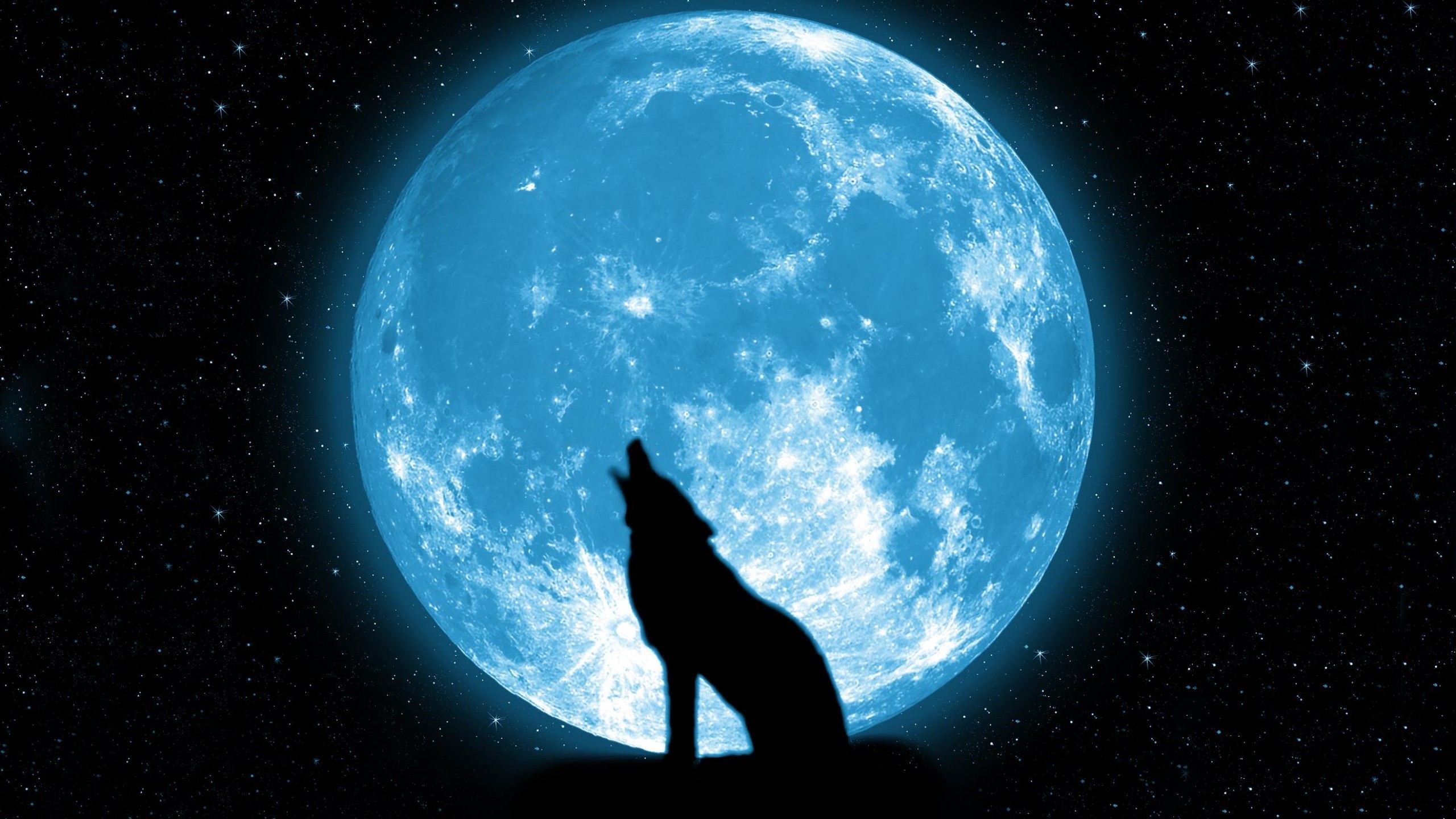 2560x1440 Wolf Howling On The Moon Wallpapers HD