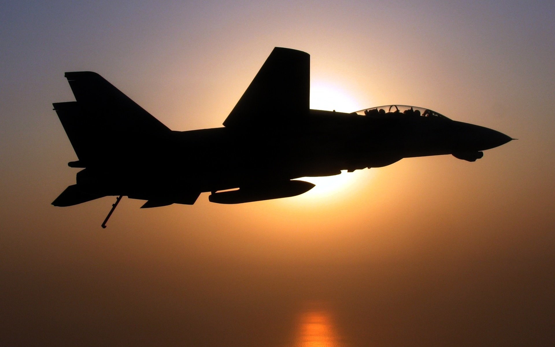 1920x1200 Aircraft military silhouettes navy F-14 Tomcat wallpaper |  |  328050 | WallpaperUP