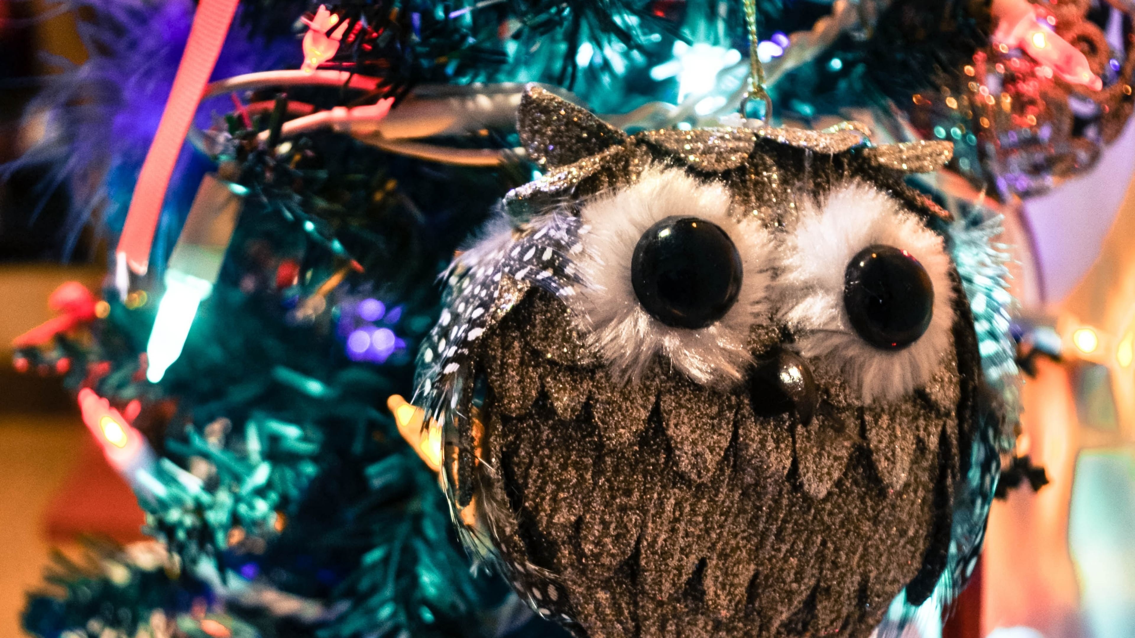 3840x2160 New Year Christmas Christmas Tree Toy Owl - Image #3121 - Licence: Free for
