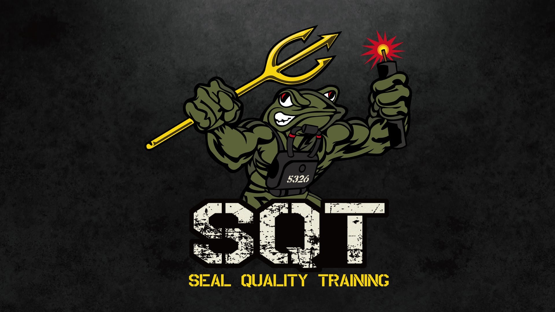 1920x1080 Silent Professional Tactical "SEAL Quality Training" Official video