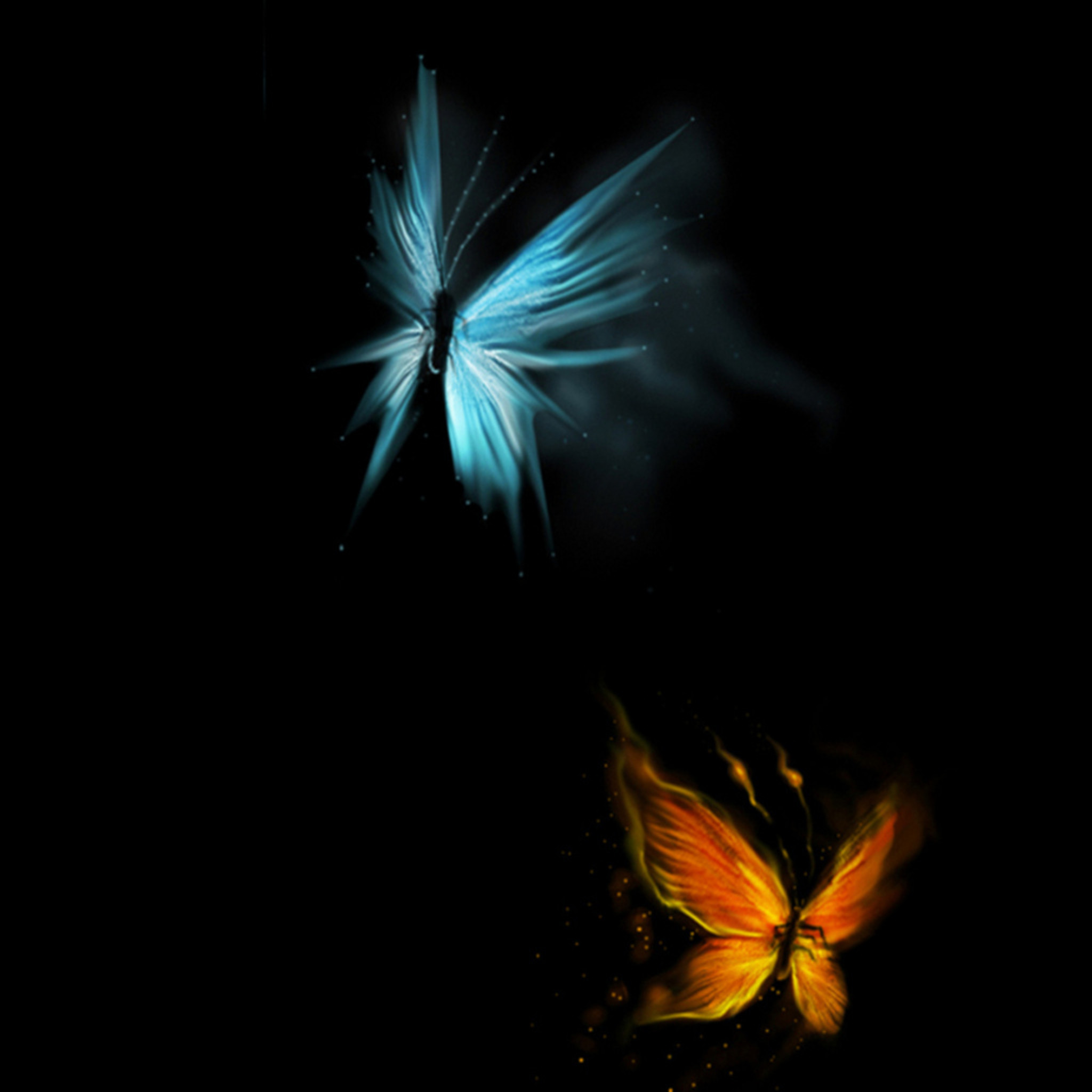 2048x2048 butterfly