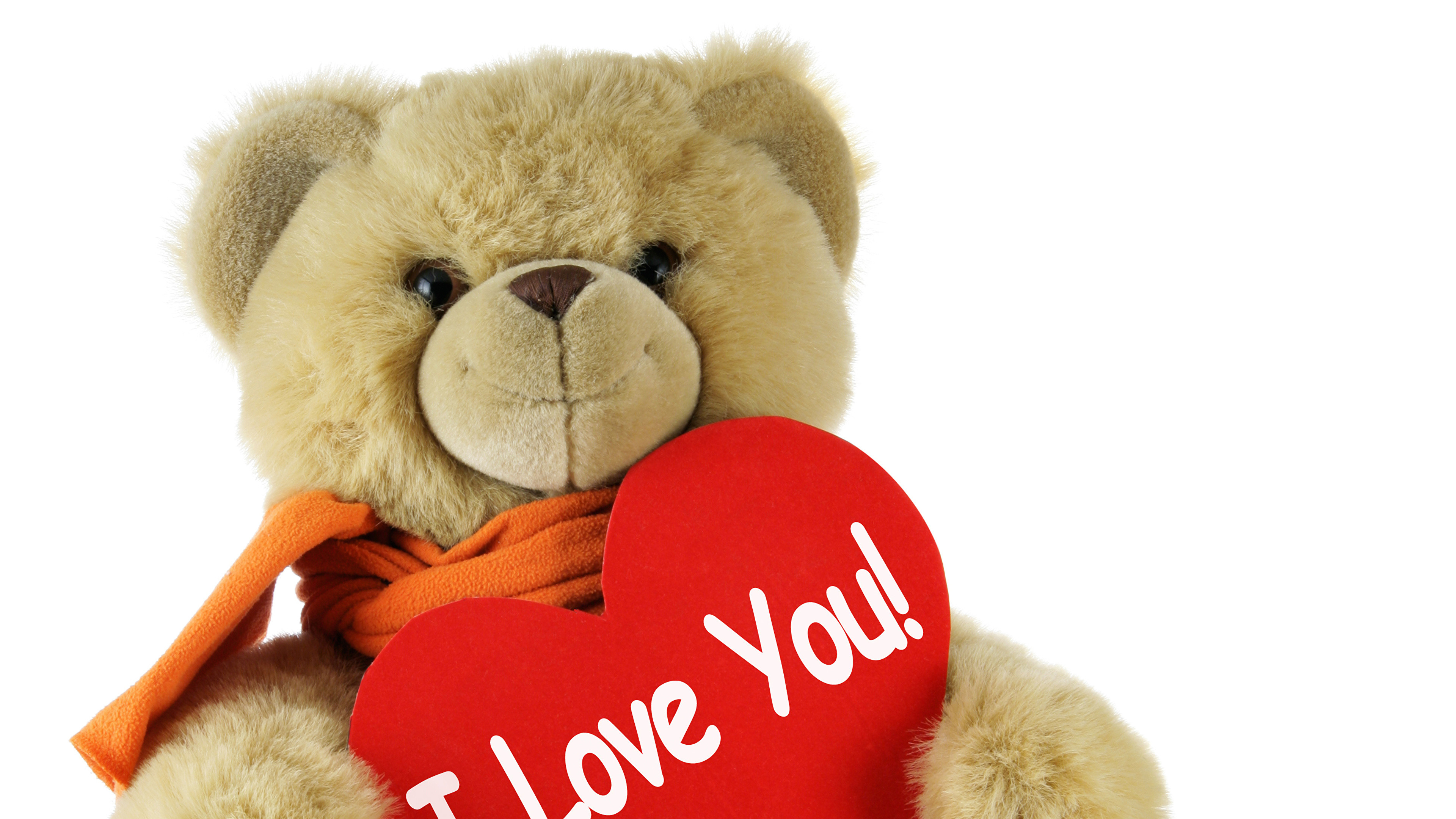 3840x2160 Wallpaper Valentine's Day English Heart Love Teddy bear White background  