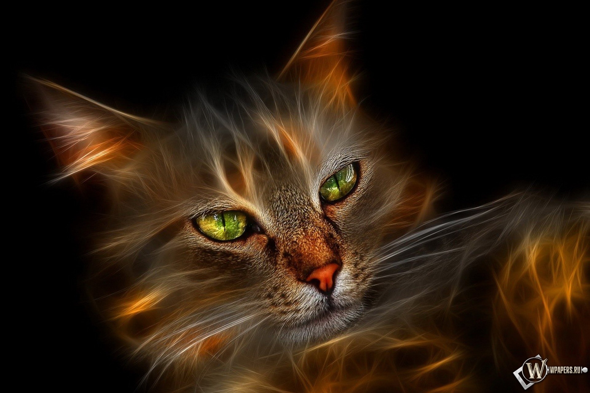 1920x1280 hd Picture of the Fire Cat, Cat, 3D graphics, Airbrush, 3D Graphics