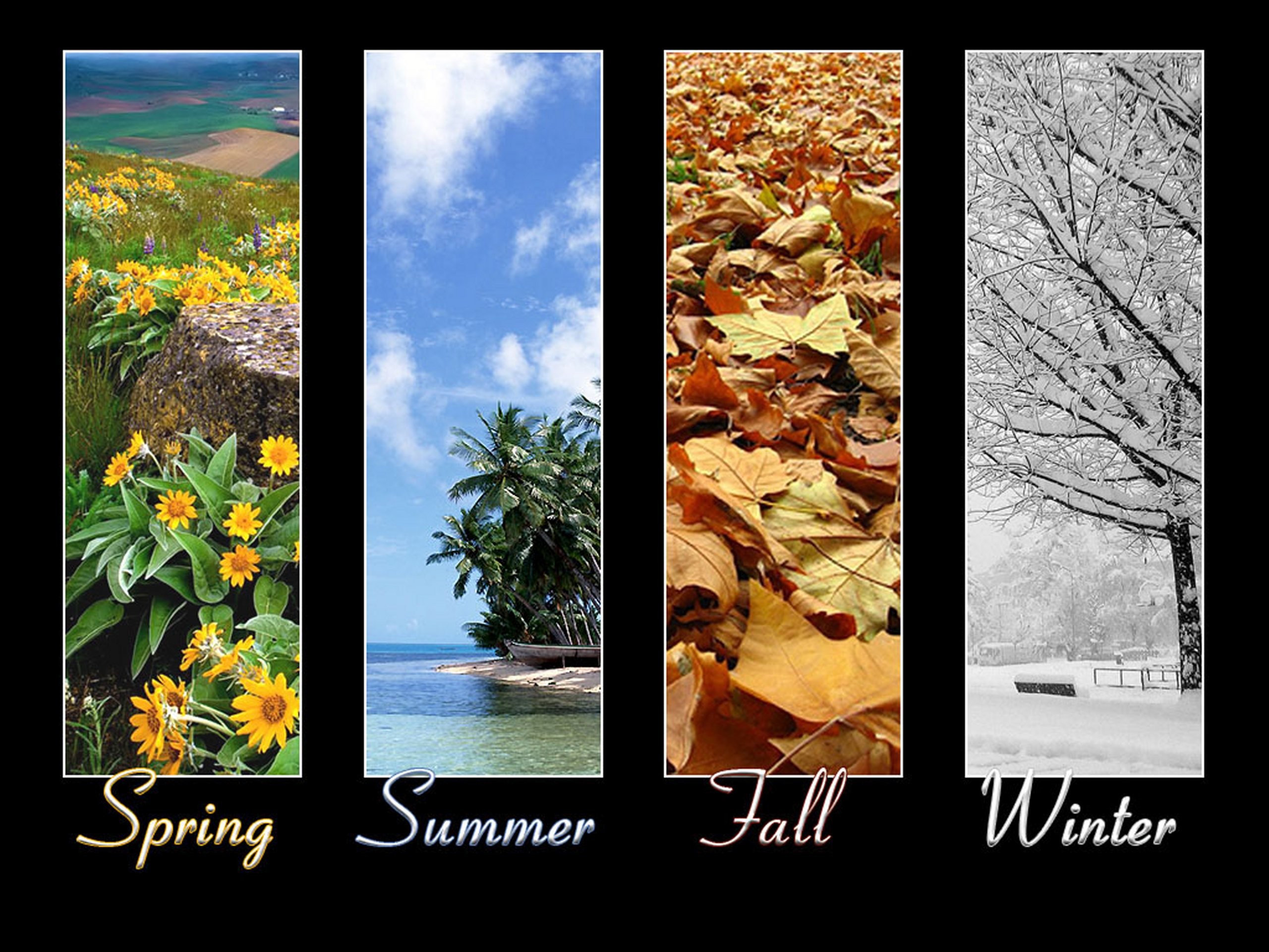 2560x1920 Earth - Season Collage Summer Spring Winter Fall Wallpaper