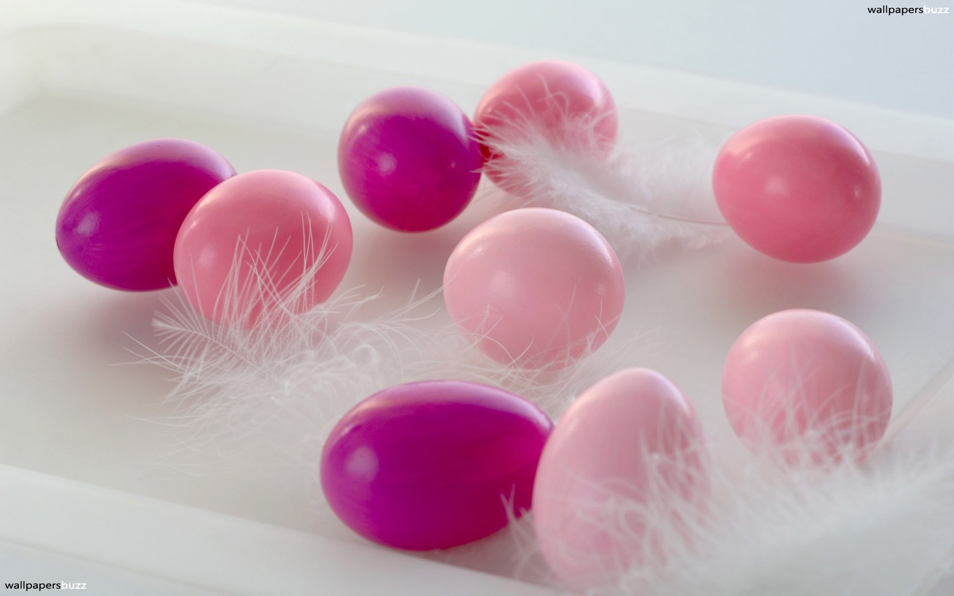 1920x1200 top easter eggs in fur with pink fur wallpaper