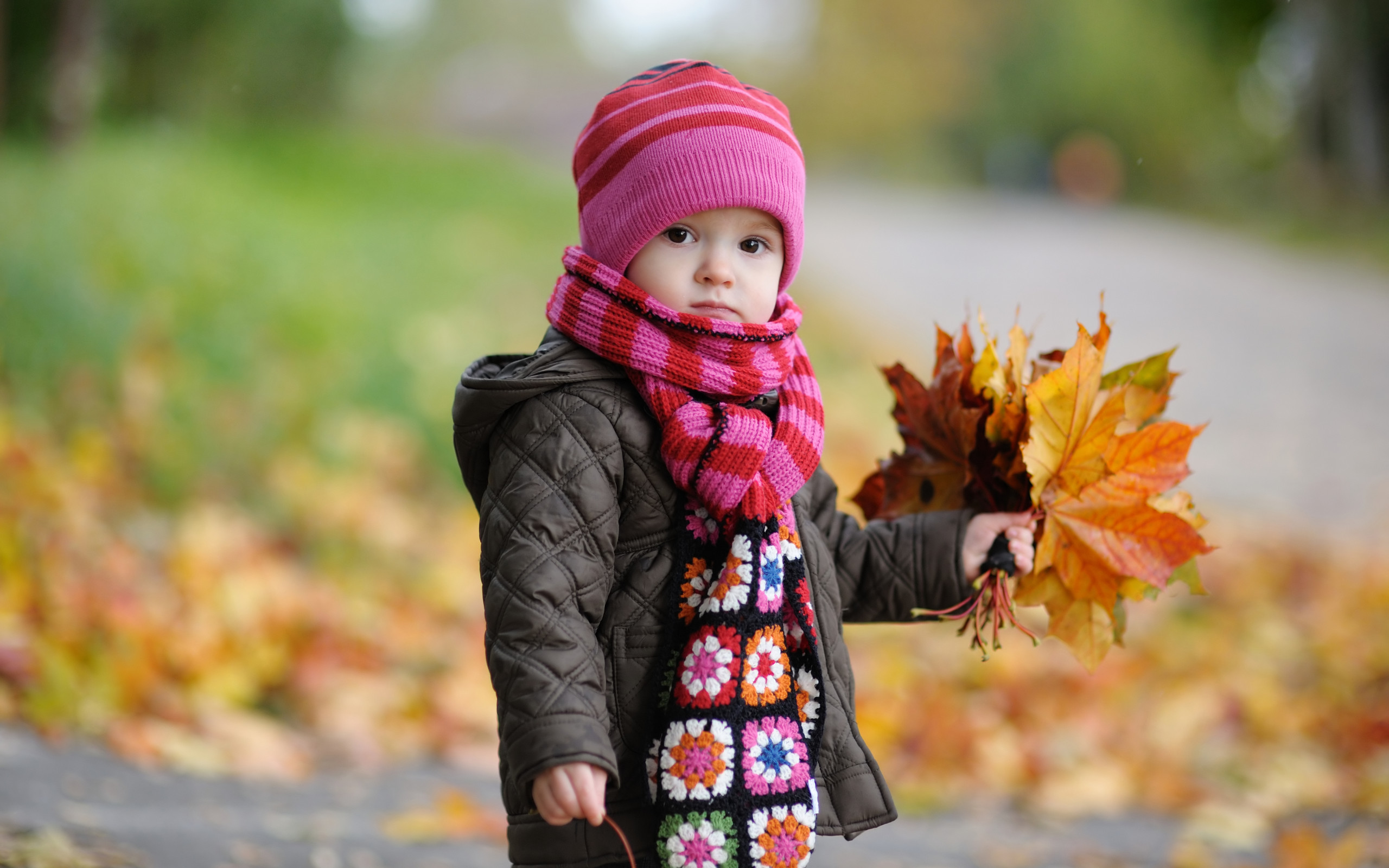 2560x1600 Cute Baby in Autumn HD #Wallpaper
