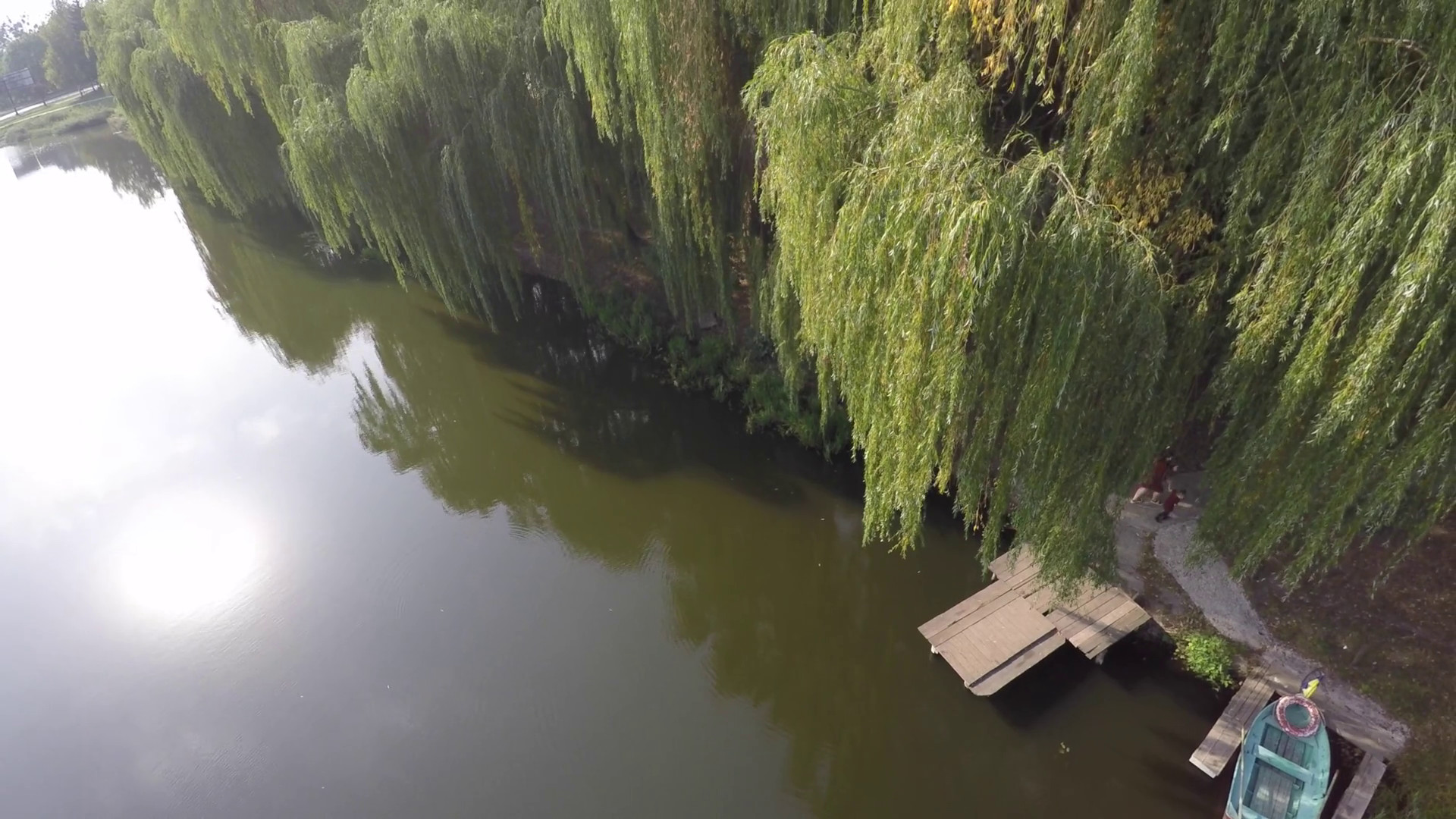 1920x1080 weeping willow trees reflected on a river. drone video Stock Video Footage  - Storyblocks Video