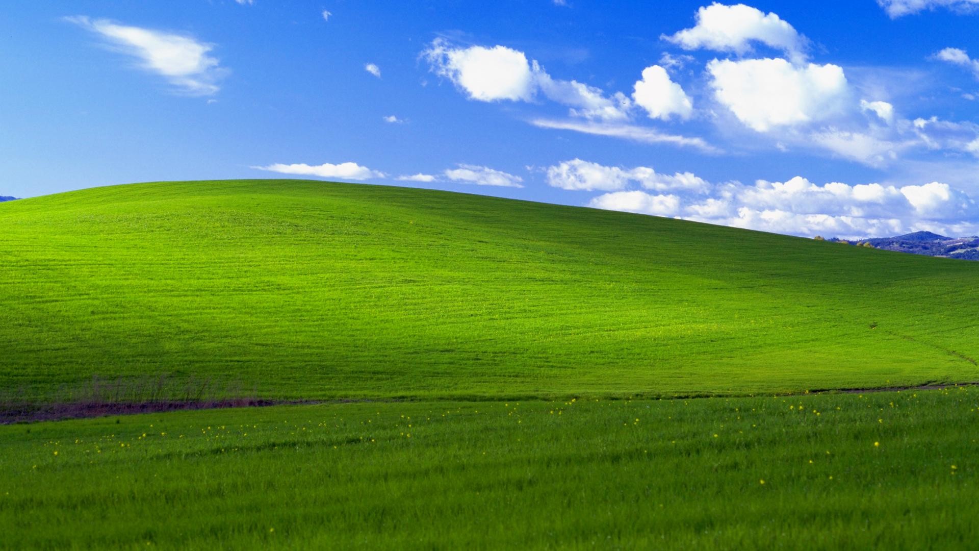 1920x1080 Popular hill in Windows XP wallpaper 'Bliss' may have survived California  brush fire | Inquirer Technology