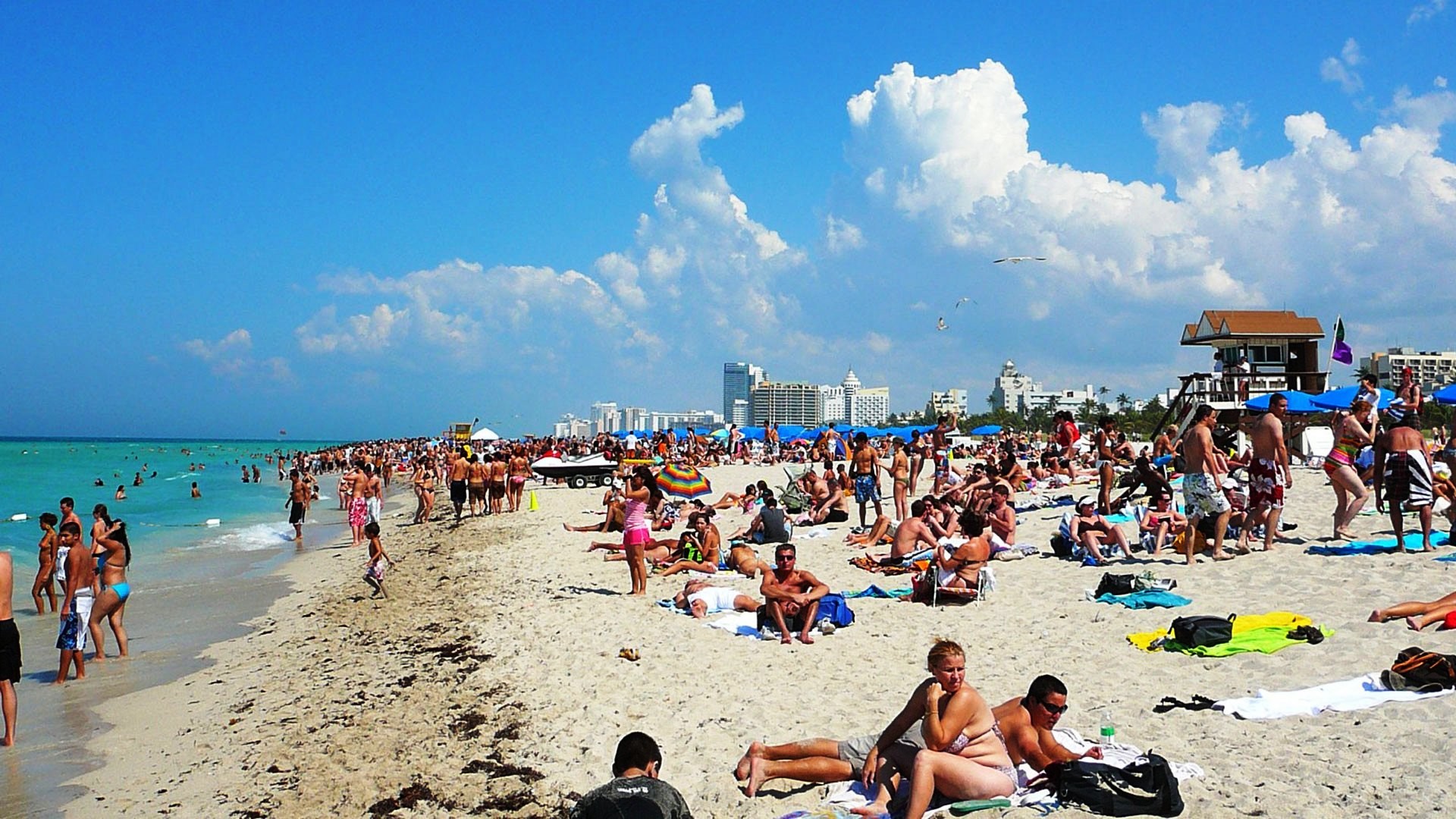 1920x1080 Fonds d'Ã©cran Miami Beach : tous les wallpapers Miami Beach
