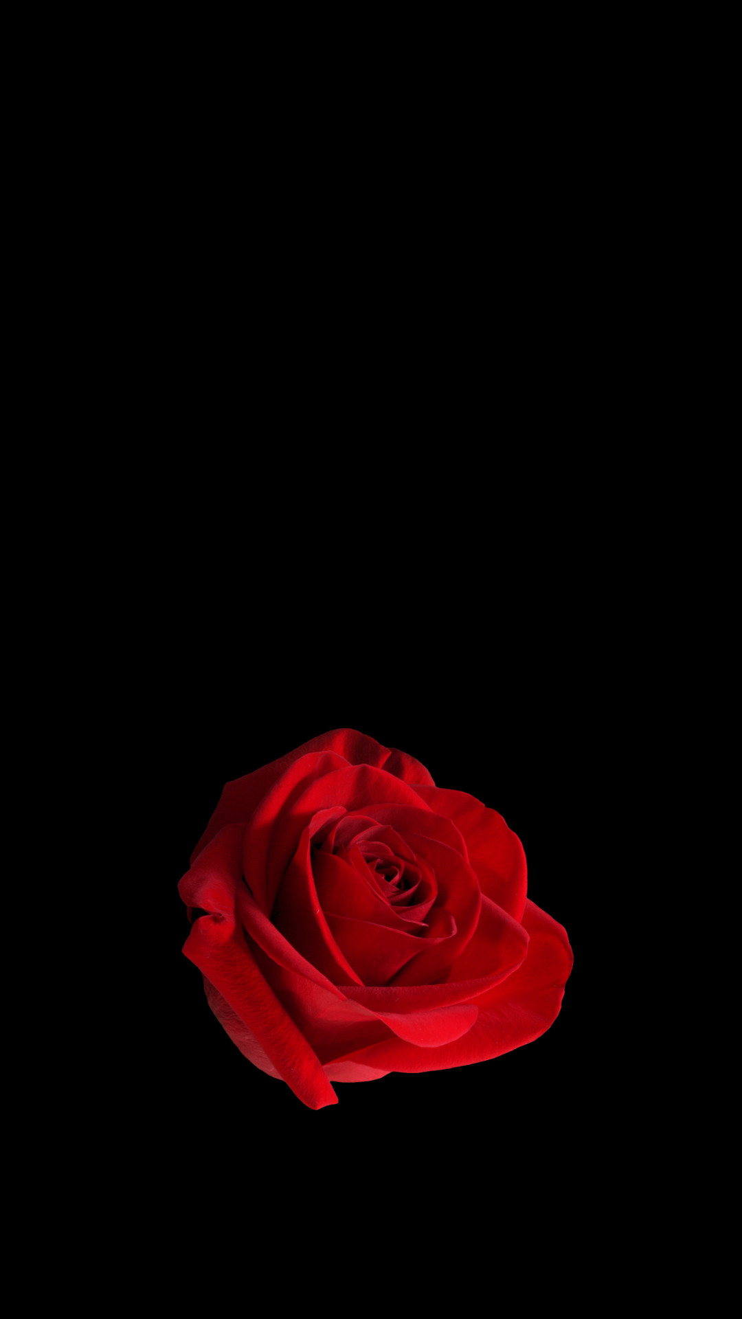 1080x1920 Red Rose Cell Phone Wallpaper by mitsubishiman on DeviantArt