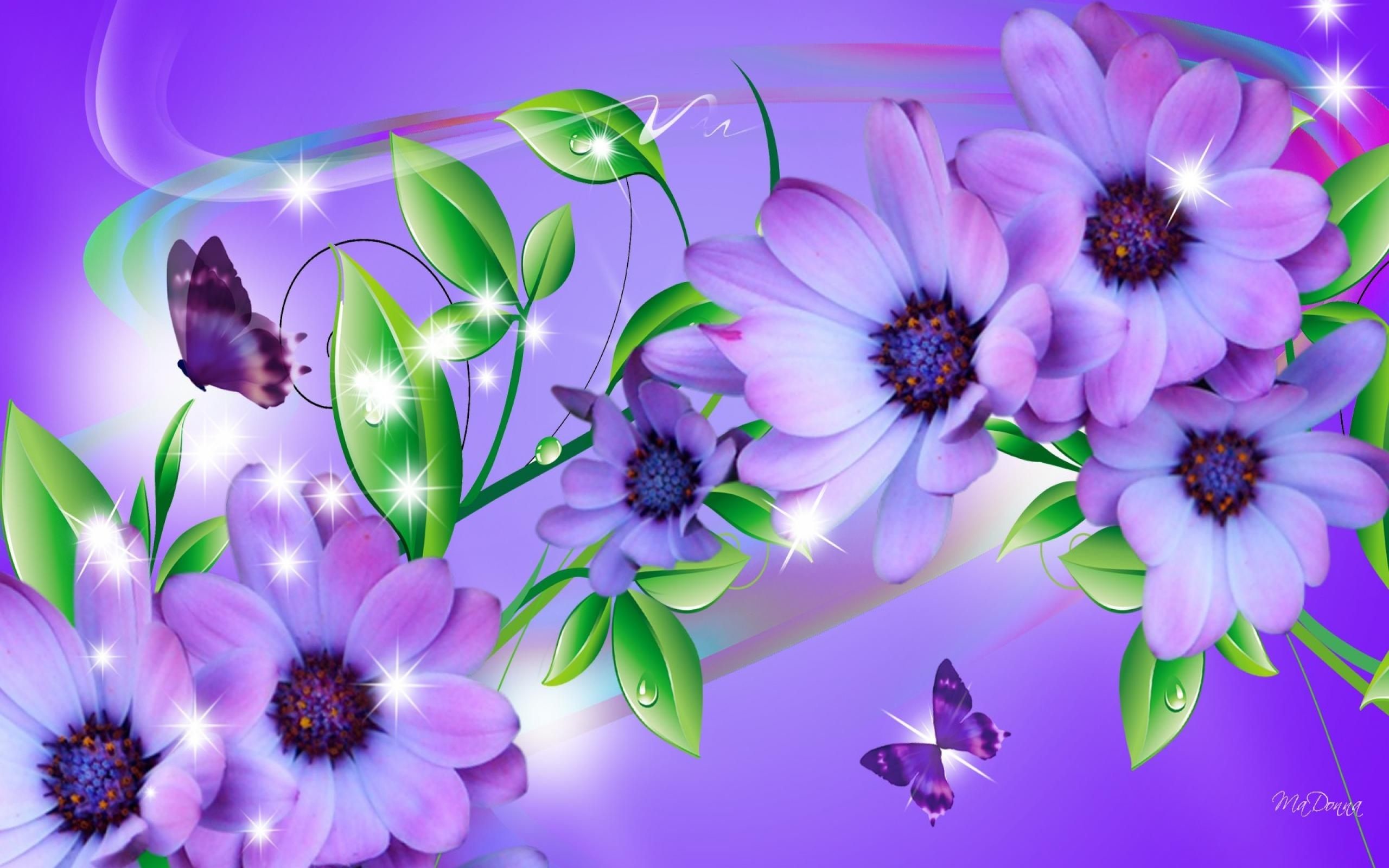 2560x1600 Pretty butterfly wallpapers group purple daisies and butterflies wallpaper  download desktop