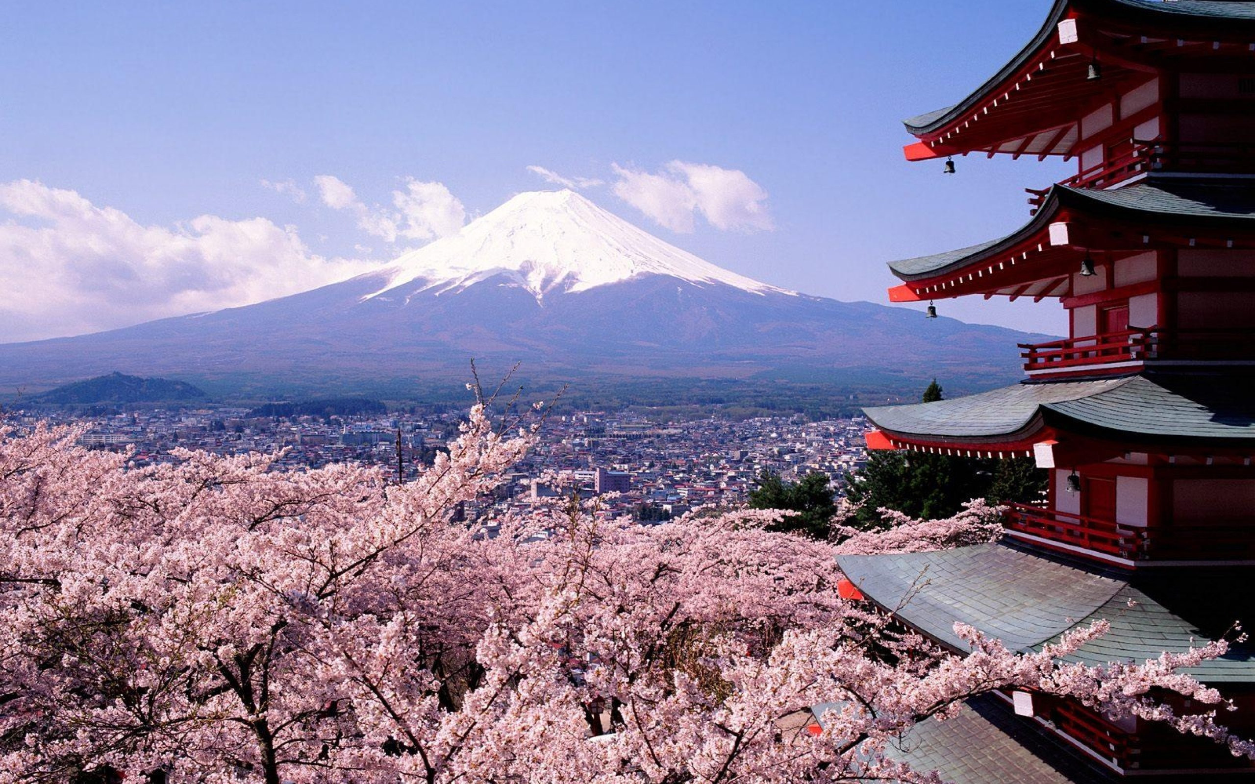 2560x1600 Cherry blossoms and mount Fuji - Japan wallpaper |  | 987 |  WallpaperUP