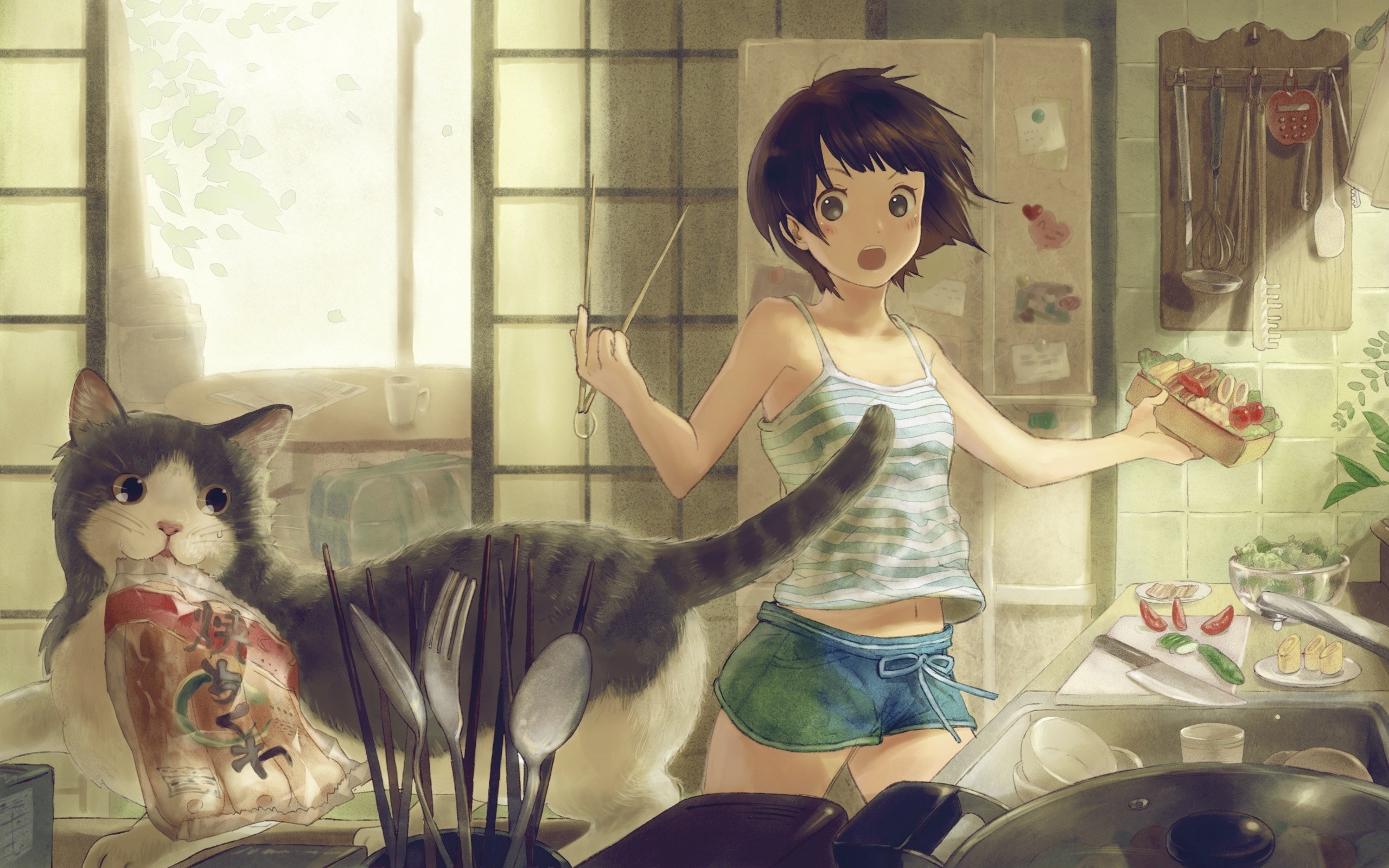2560x1600 Wallpaper Anime, Girl, Cat, Room