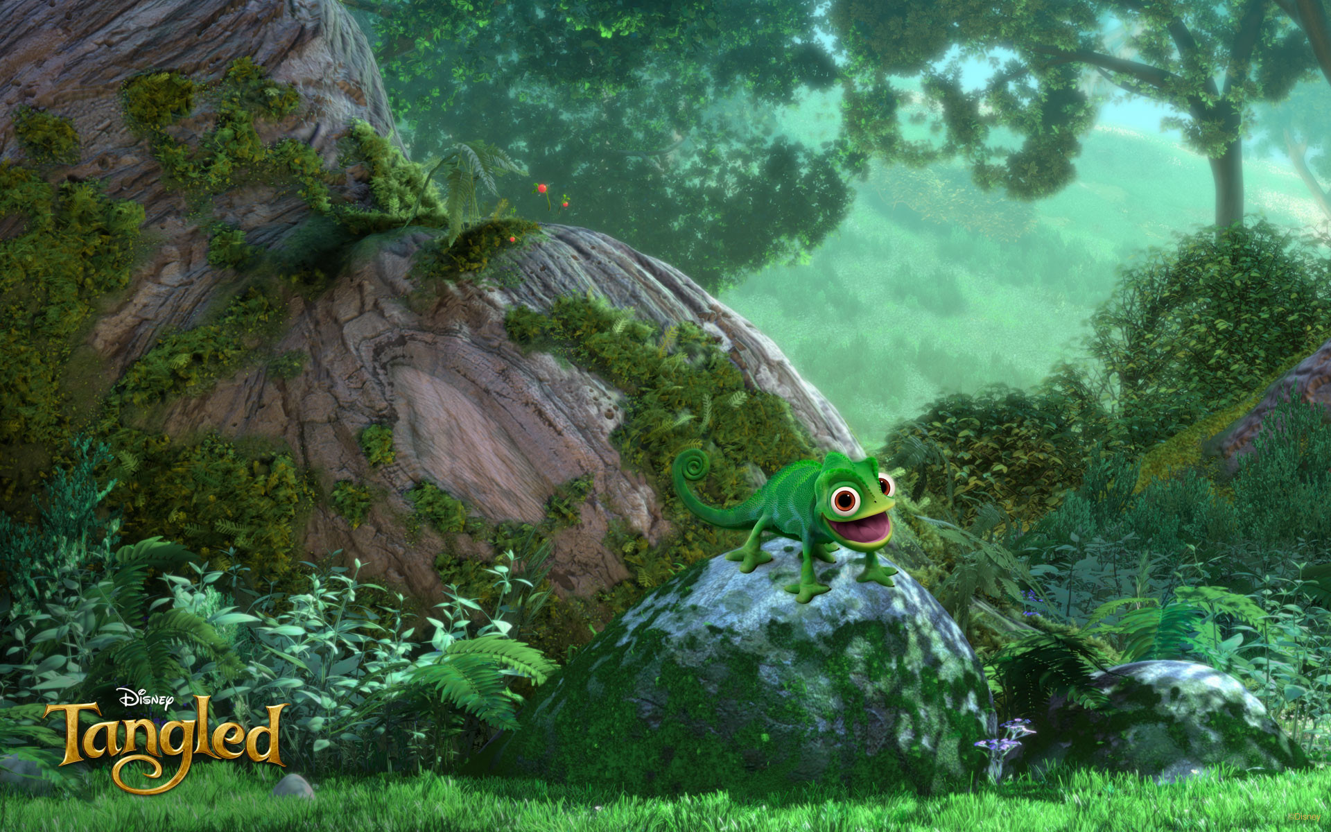 1920x1200 Pascal the chameleon lizard reptile perching on a rock from Disney's CG  animated movie Tangled wallpaper