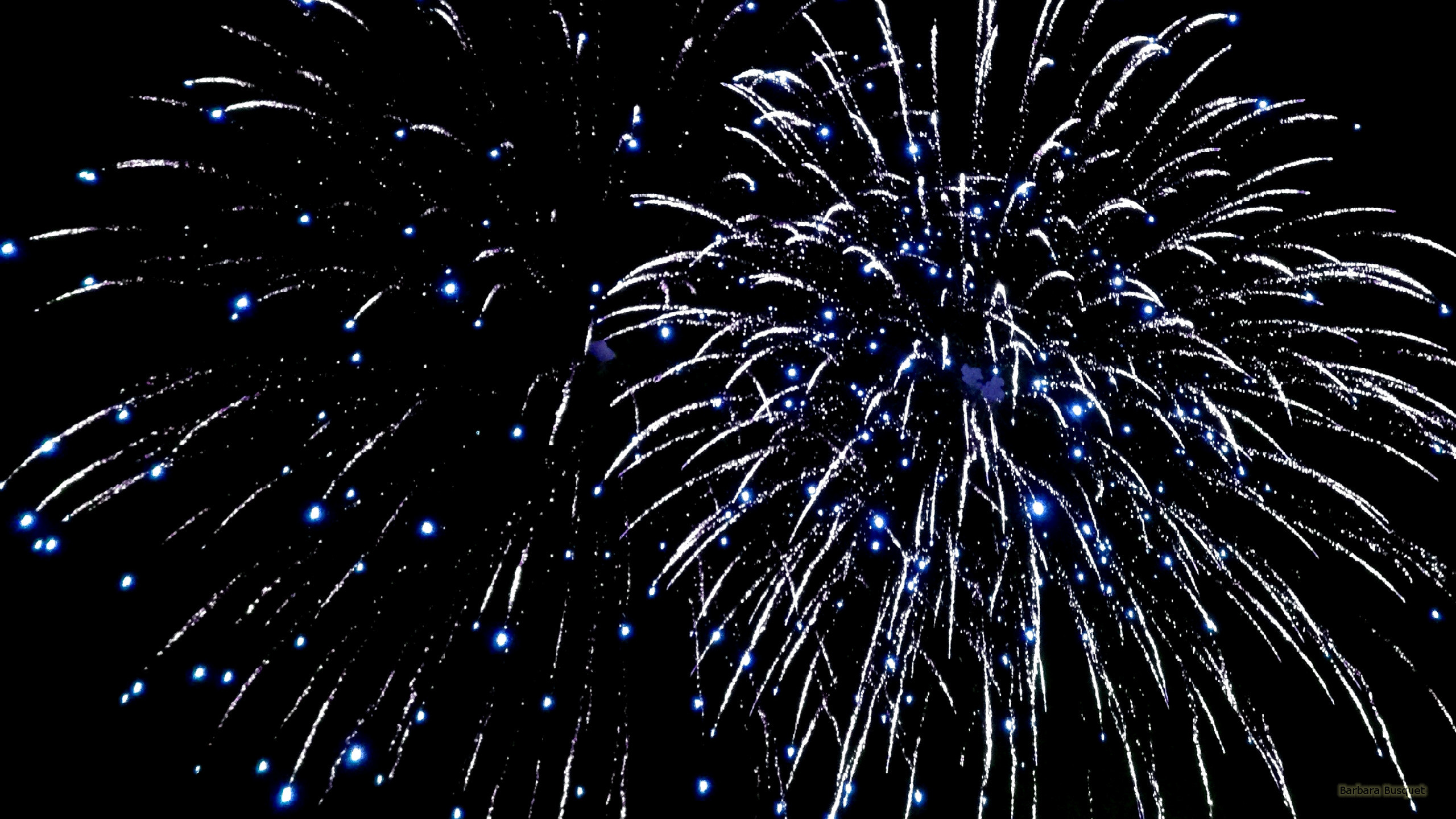 2560x1440 Fireworks wallpaper with blue lights