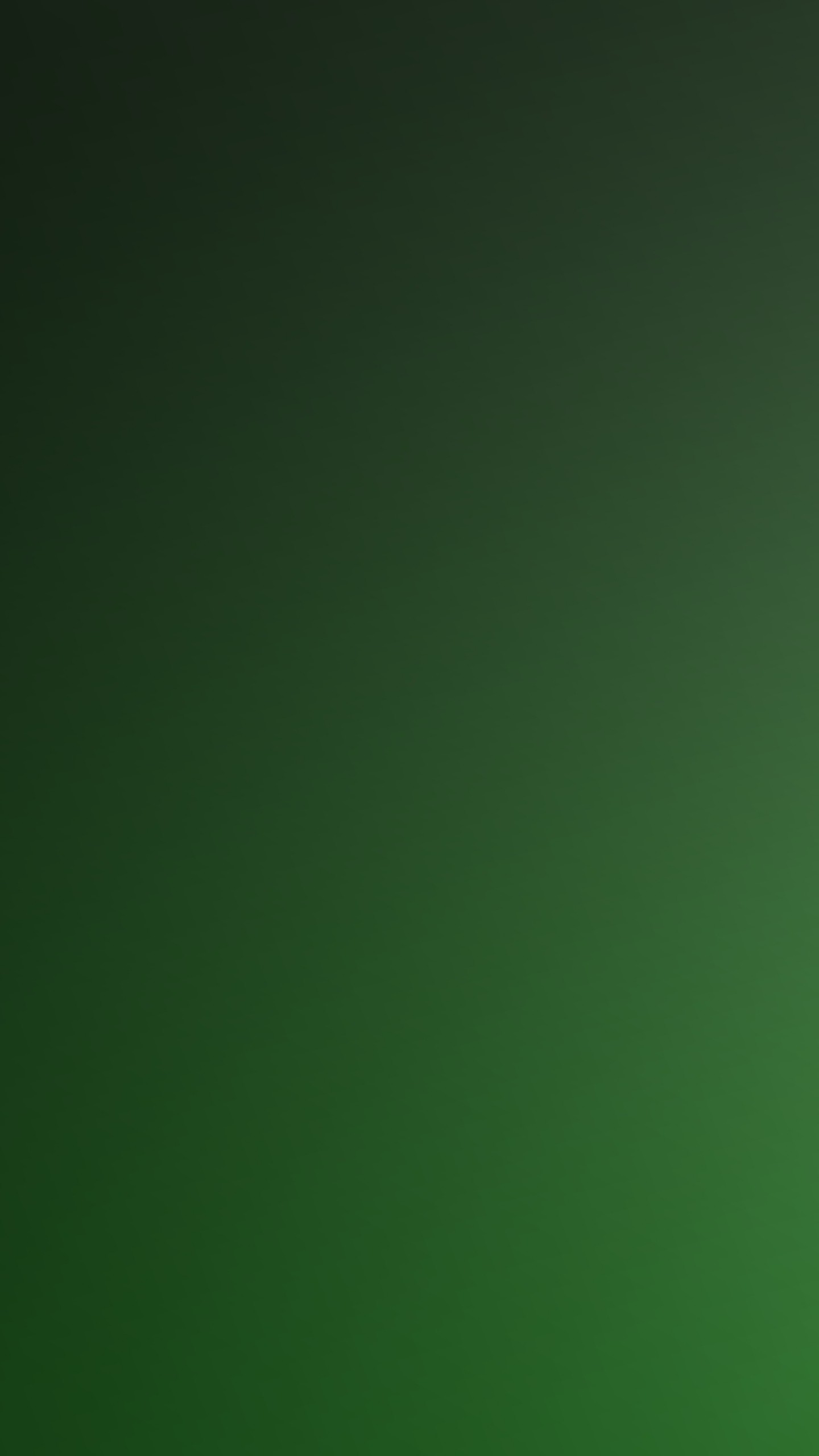 1440x2560  Wallpaper green, background, texture, solid, color