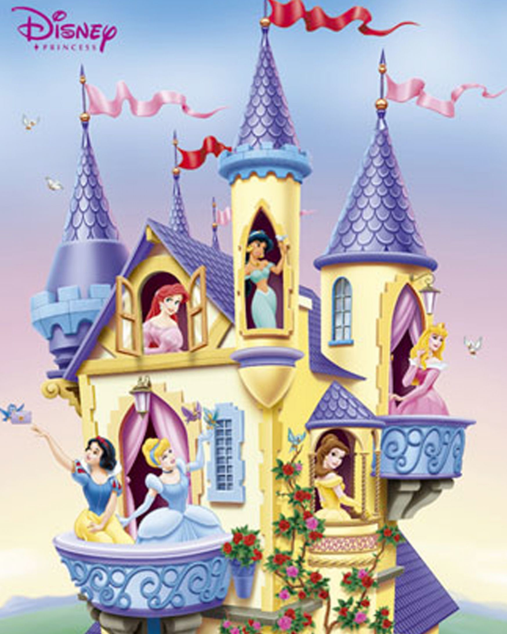 1748x2185 Disney princess castle wallpaper pictures 1 
