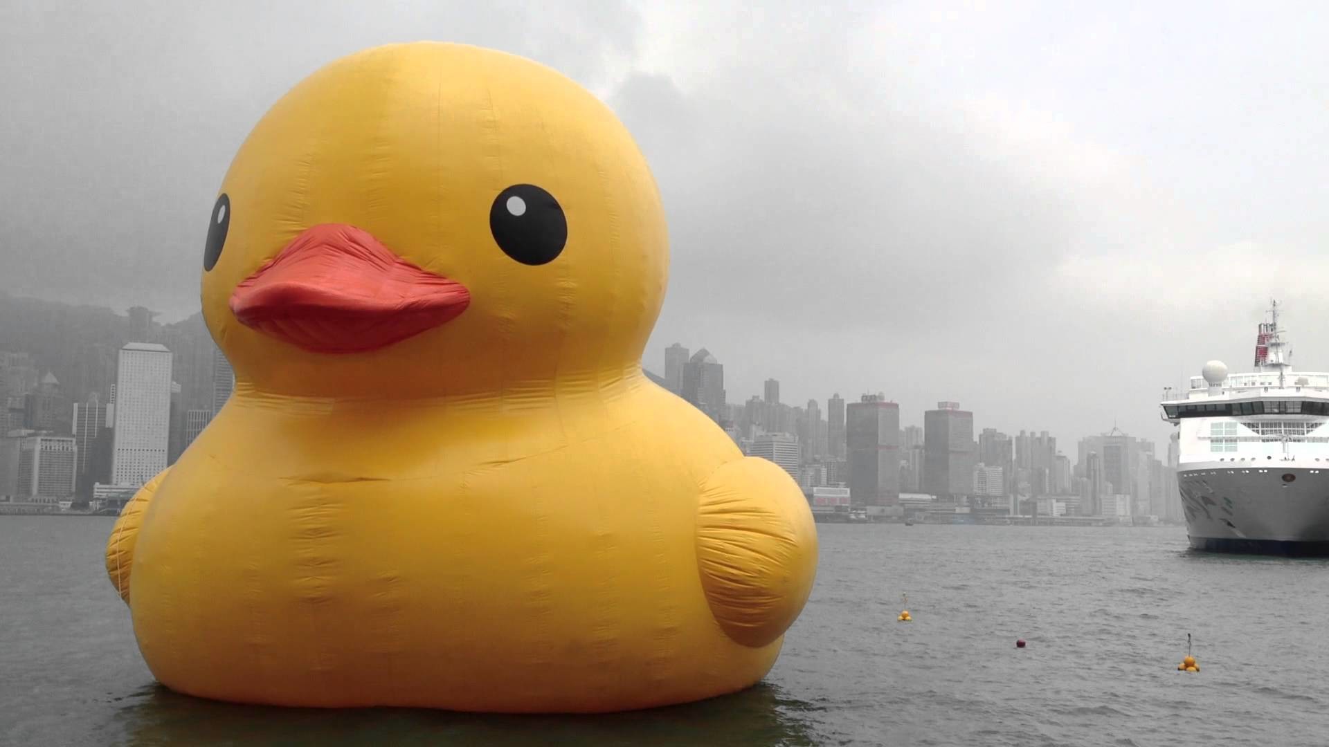 1920x1080 Giant rubber duck in Hong Kong (1)