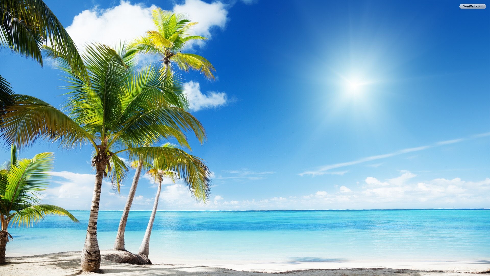 1920x1080 tropical oasis backgrounds - Google Search