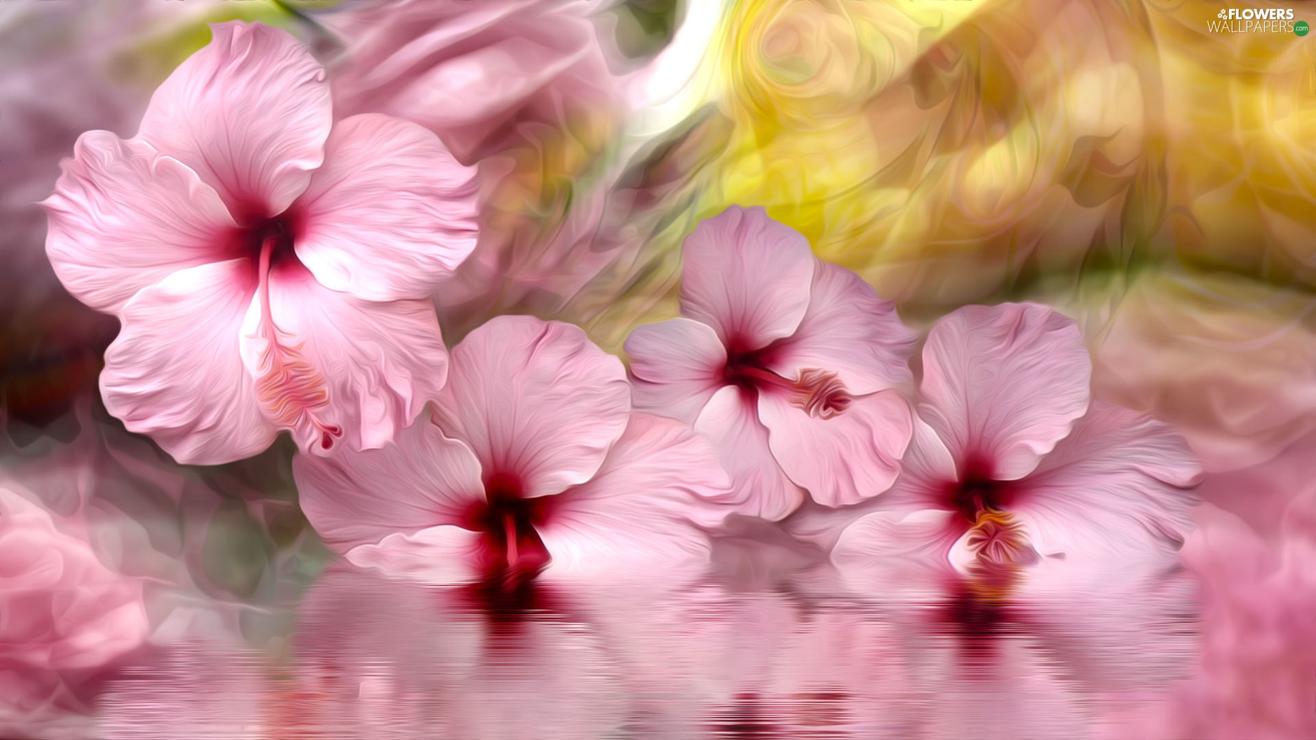 1920x1080 water, graphics, Pink, hibiscus, Flowers