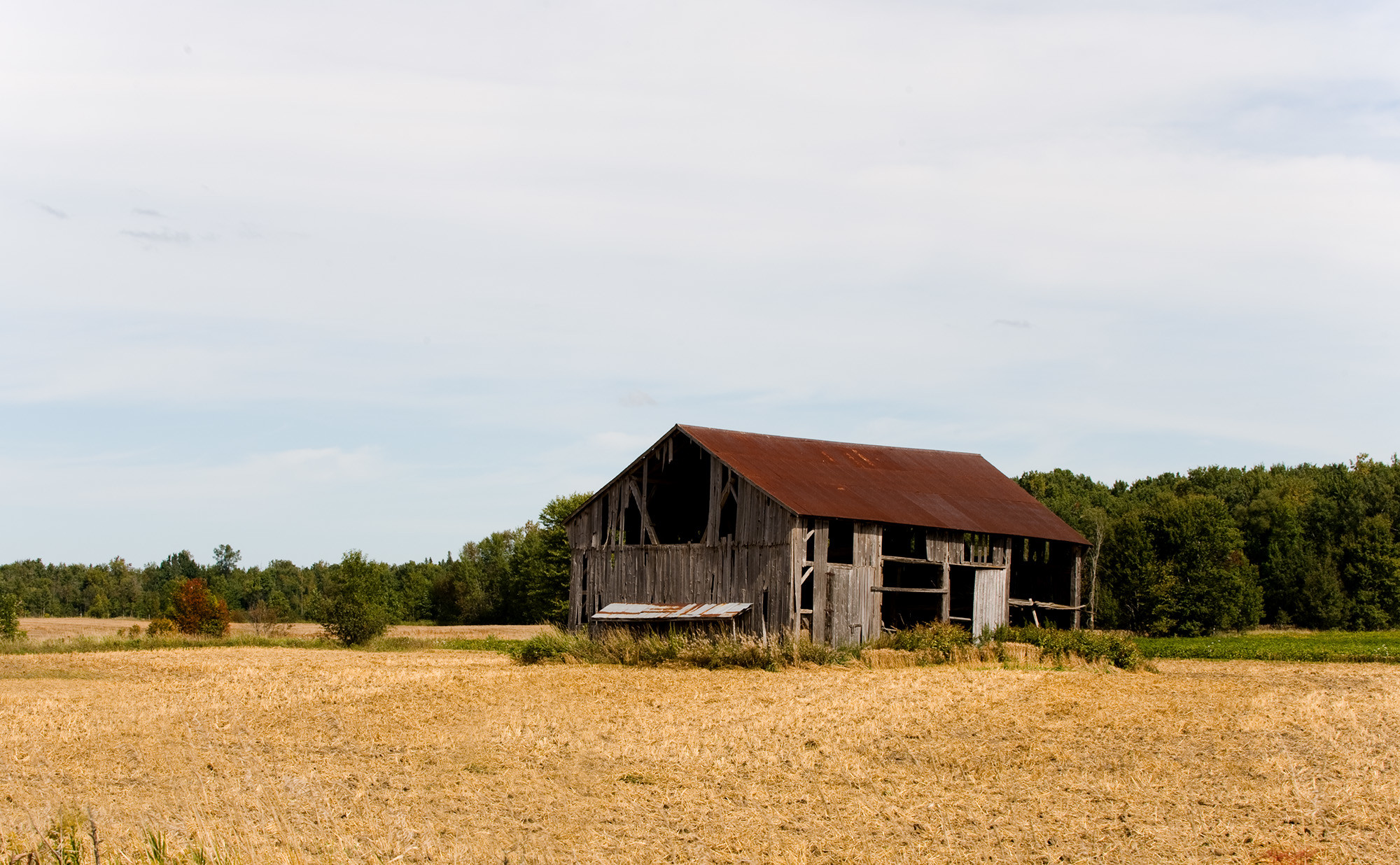 2000x1236 FarmStuff3, photo of old wooden barn, weathered from age with red roof  surrounded by