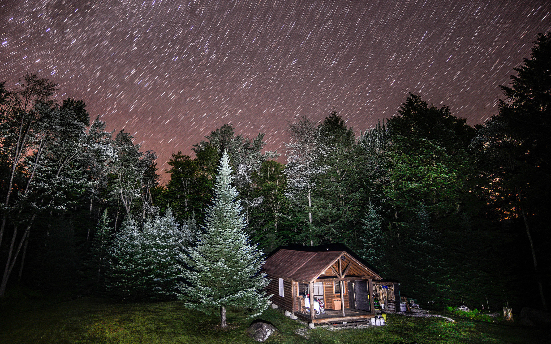1920x1200 Trees at Night with Stars | Cabin Night Forest Trees Stars Timelapse  wallpaper |  .