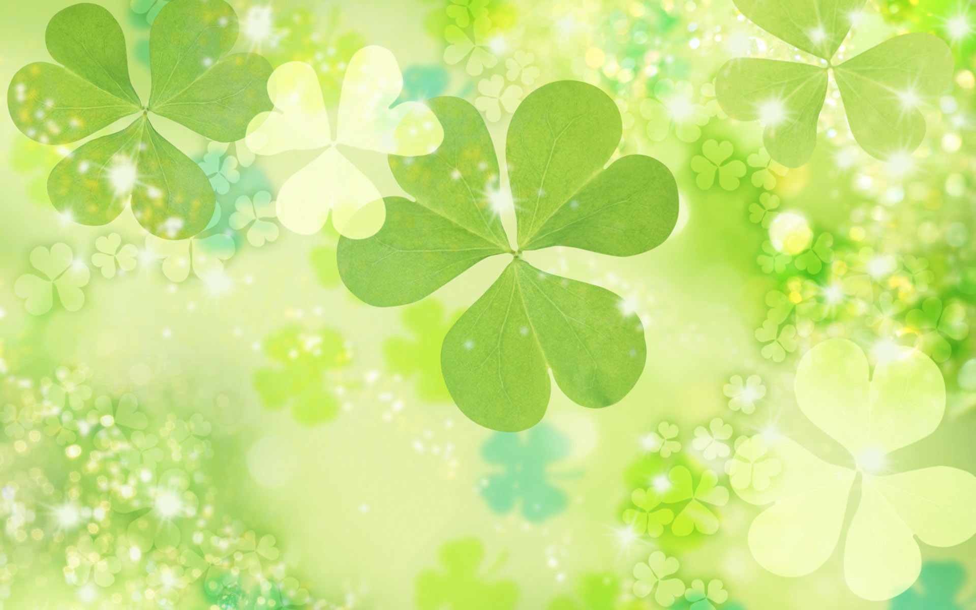 1920x1200 Wallpapers For > Cute Animal St Patricks Day Wallpaper