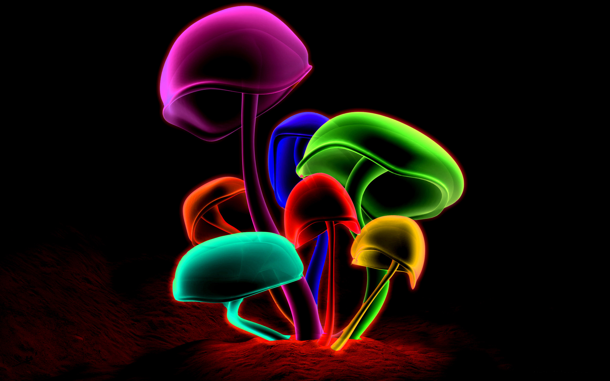 2560x1600 Colorful Mushrooms wallpaper with resolution up to - 21995