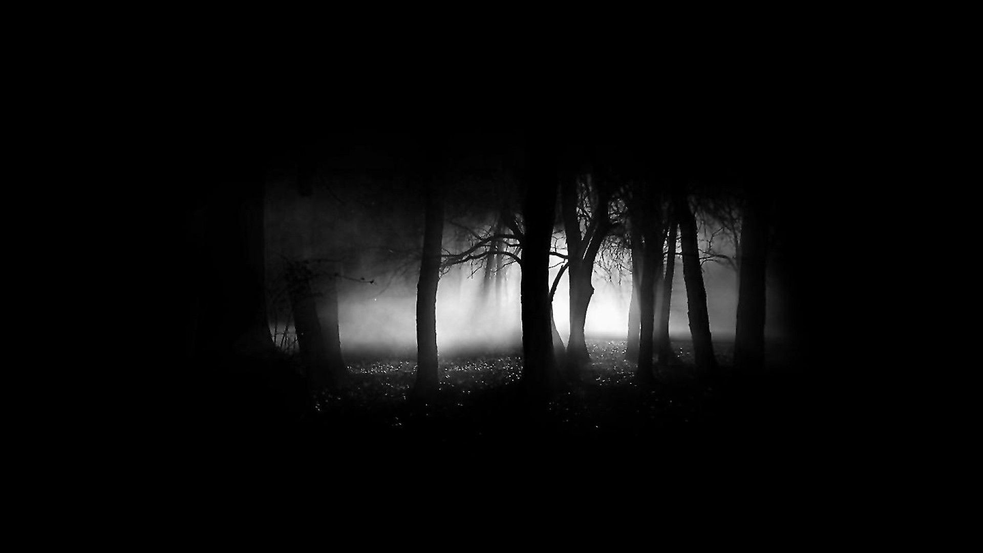 Black Wallpaper dark 1920x1080. | Windows wallpaper, Desktop wallpaper  black, Black hd wallpaper