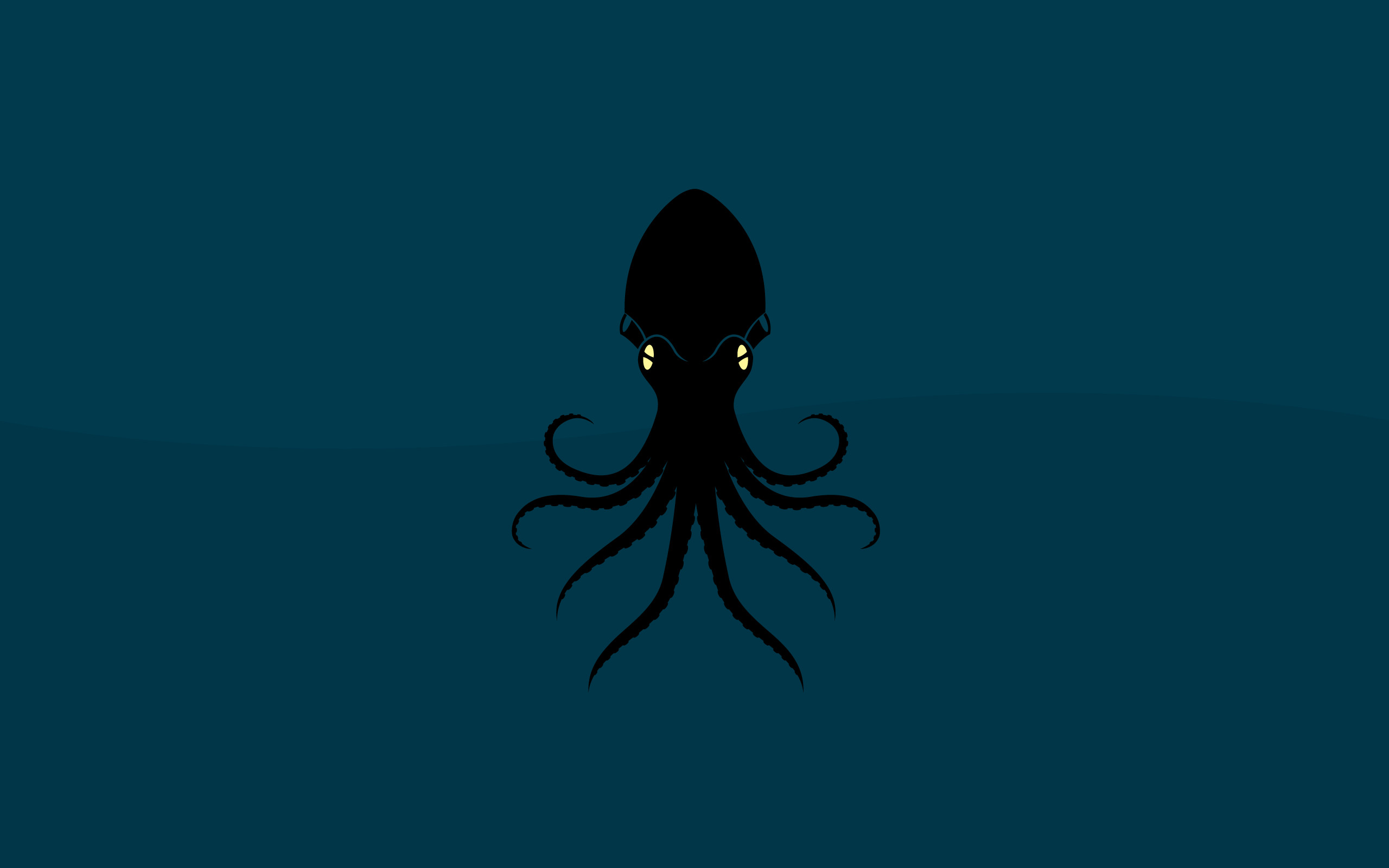 2560x1600 Octopus